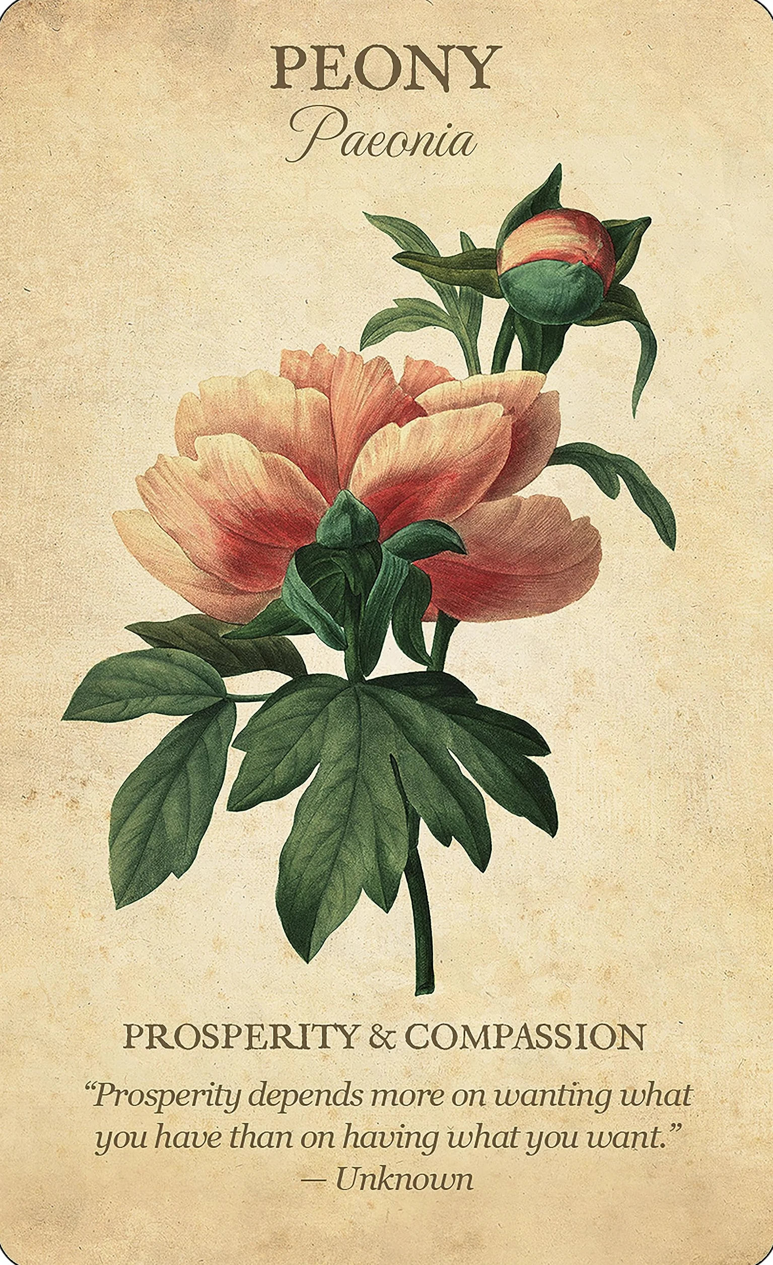 Botanical Inspirations Deck & Book Set: 44 Cards with Classical Botanical Art by Pierre-Joseph Redouté, Deluxe Gift Set Includes 100-Page Guidebook, Inspirational Messages
