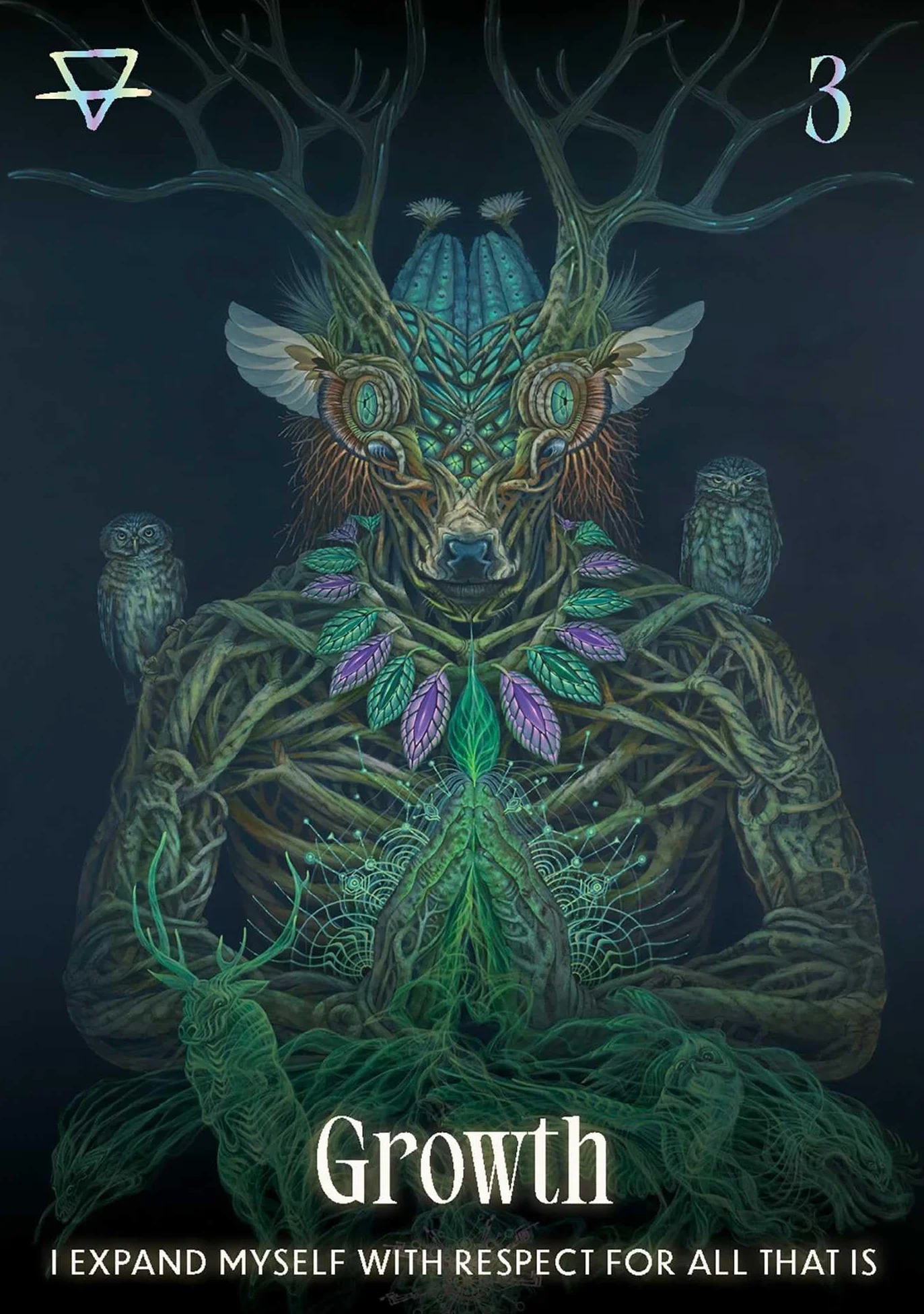 Shamanic Oracle: Connect to the medicine of the earth