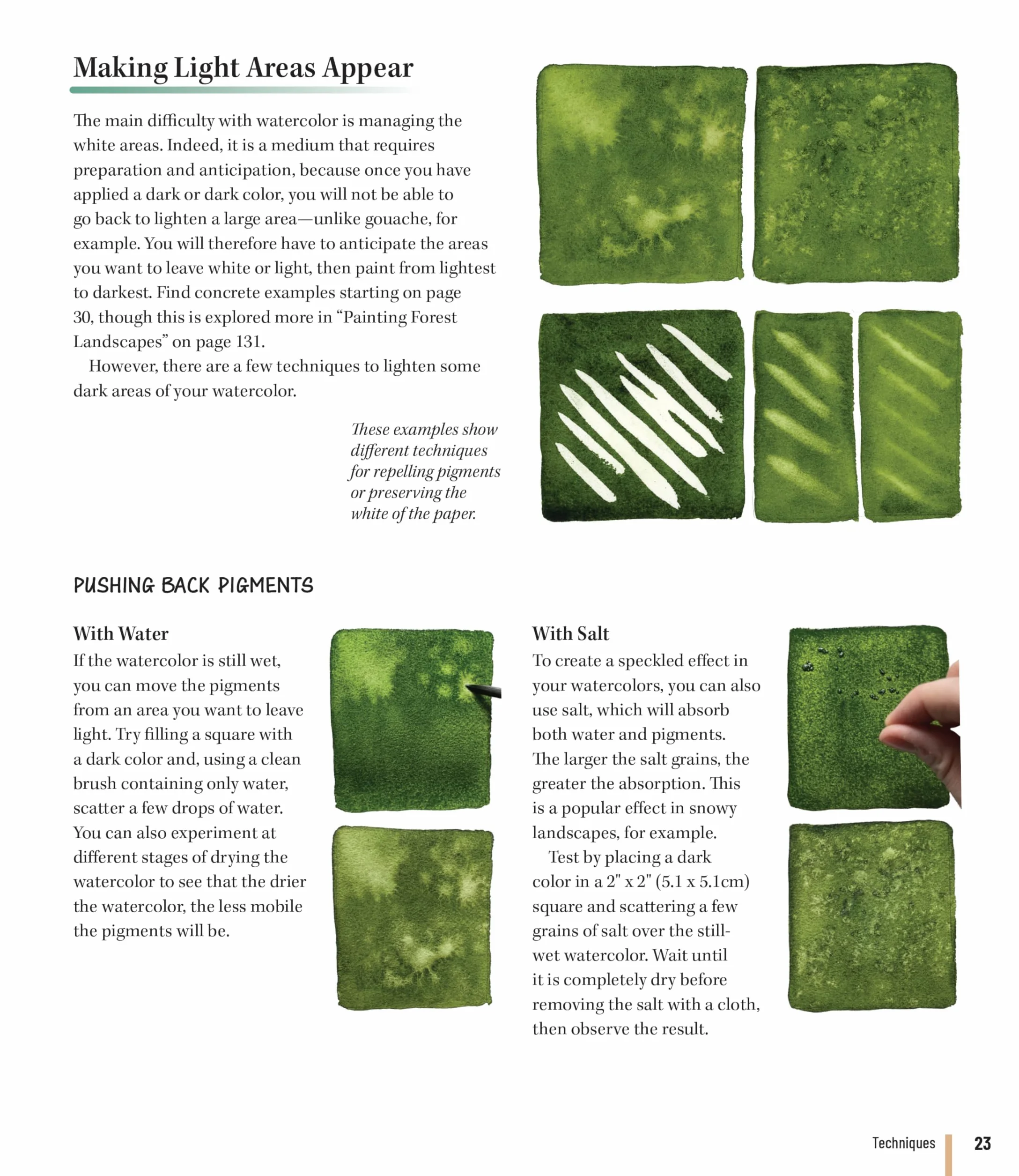 Painting the Secrets of the Forest with Watercolors