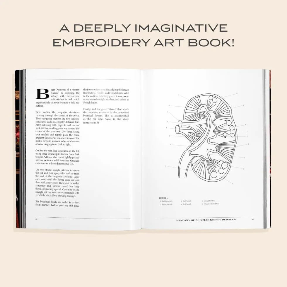 Stitchcraft: An Embroidery Book of Simple Stitches and Peculiar Patterns