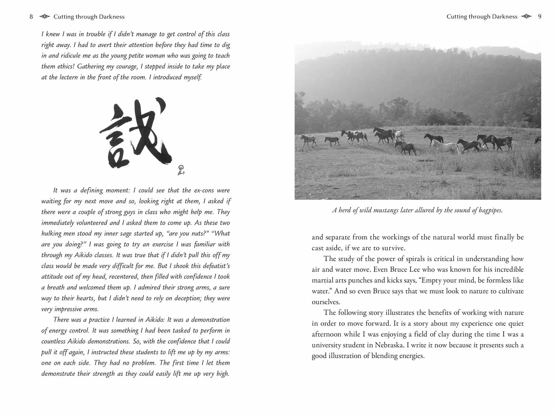 The Hidden Power of Aikido: Transcending Conflict and Cultivating Inner Peace