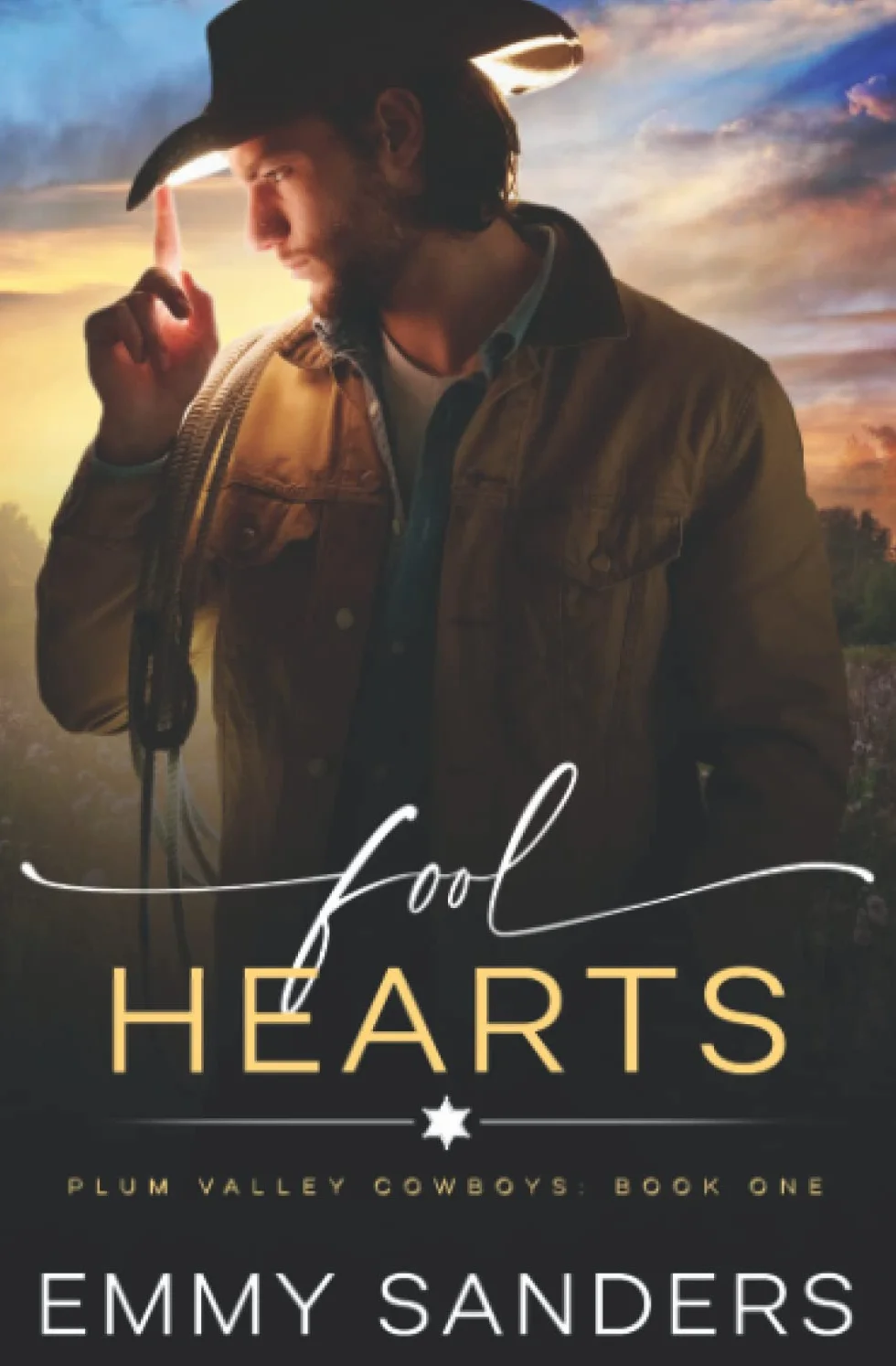 Fool Hearts (Plum Valley Cowboys Book 1)