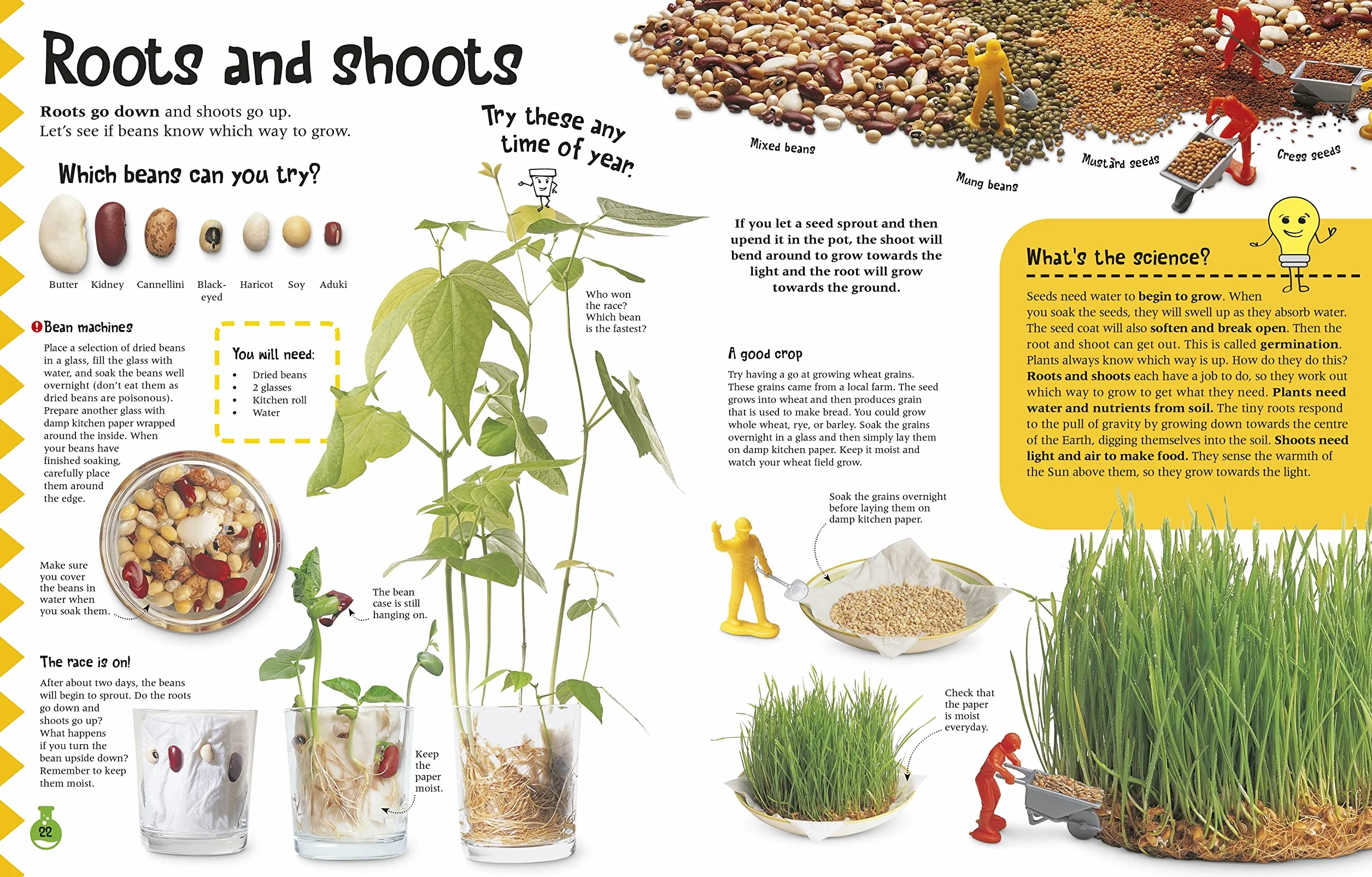 The Simple Science Activity Book: 20 Things to Make and Do at Home to Learn About Science