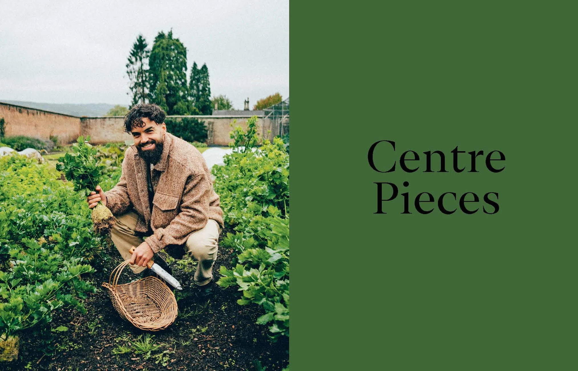 Plants Only Holidays: Indulgent, Plant-Forward Recipes for the Festive Season