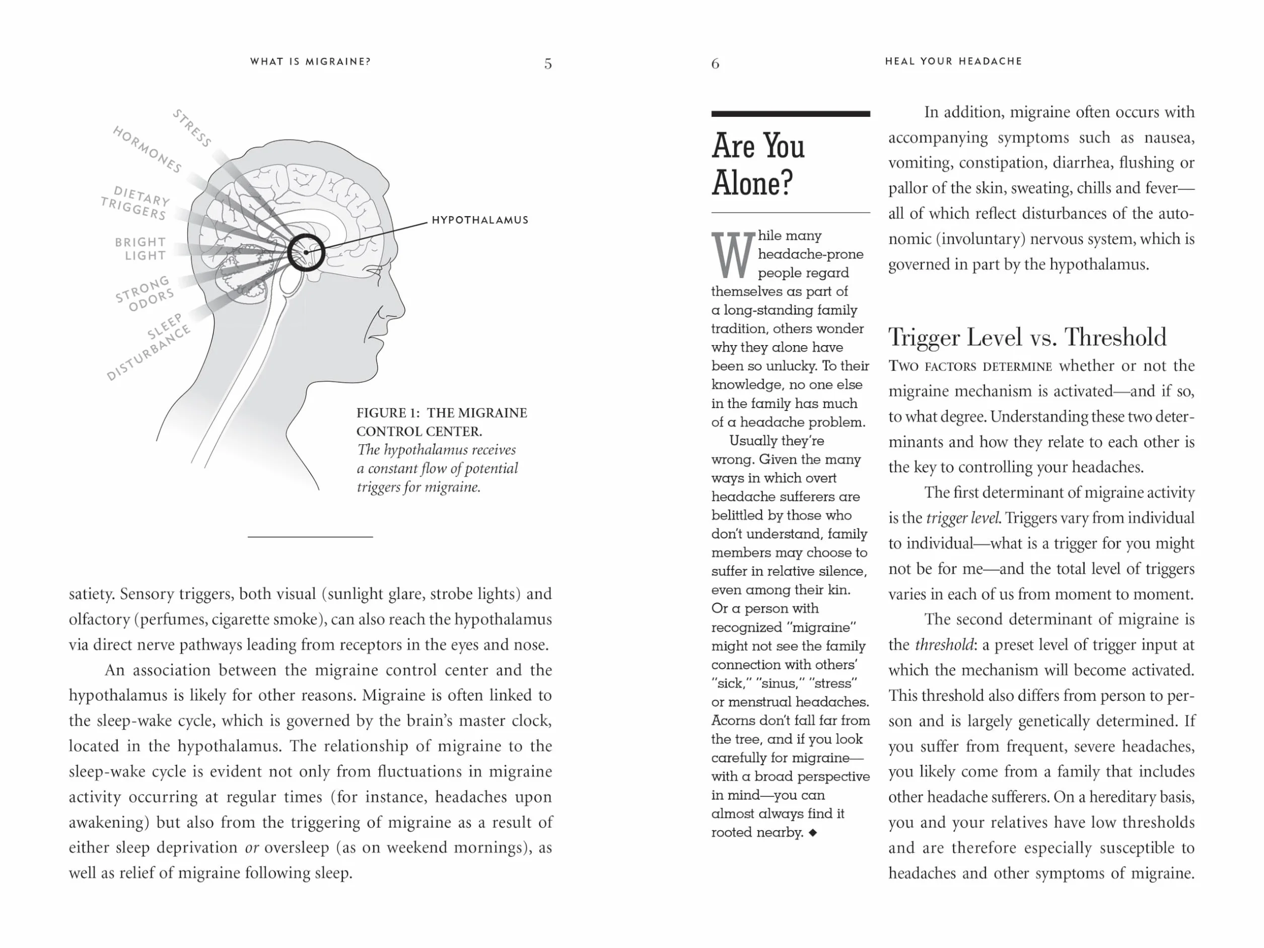 Heal Your Headache: The 1-2-3 Program for Taking Charge of Your Pain