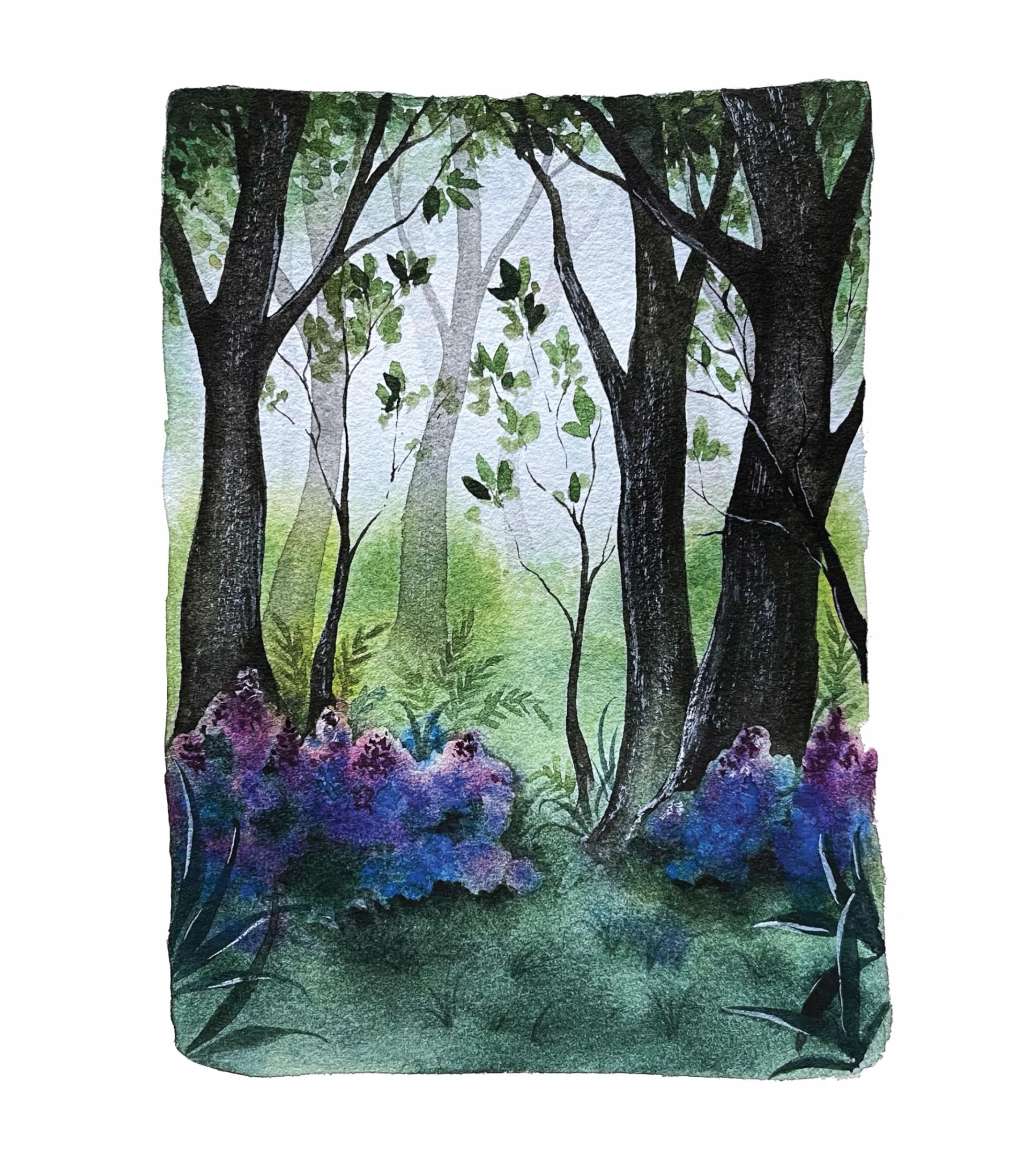 Painting the Secrets of the Forest with Watercolors