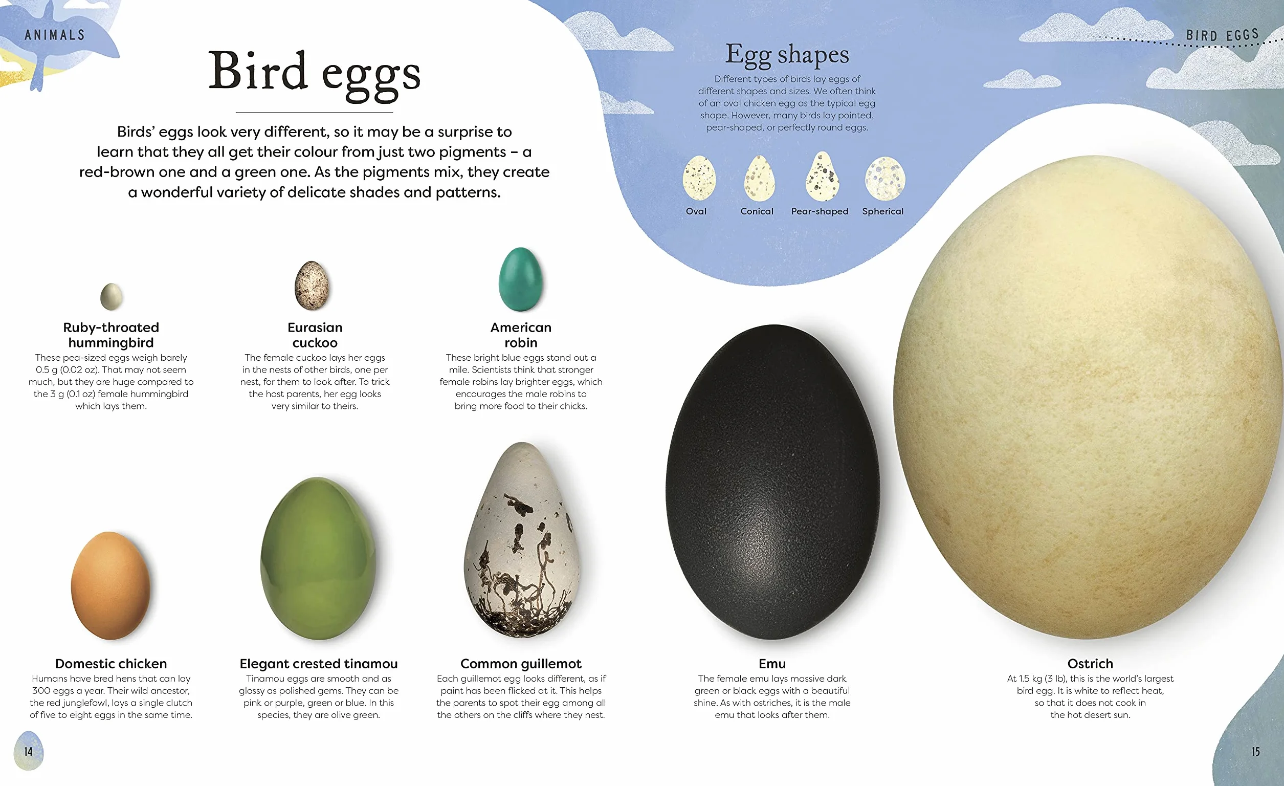 Nature's Treasures: Tales Of More Than 100 Extraordinary Objects From Nature (DK Treasures)