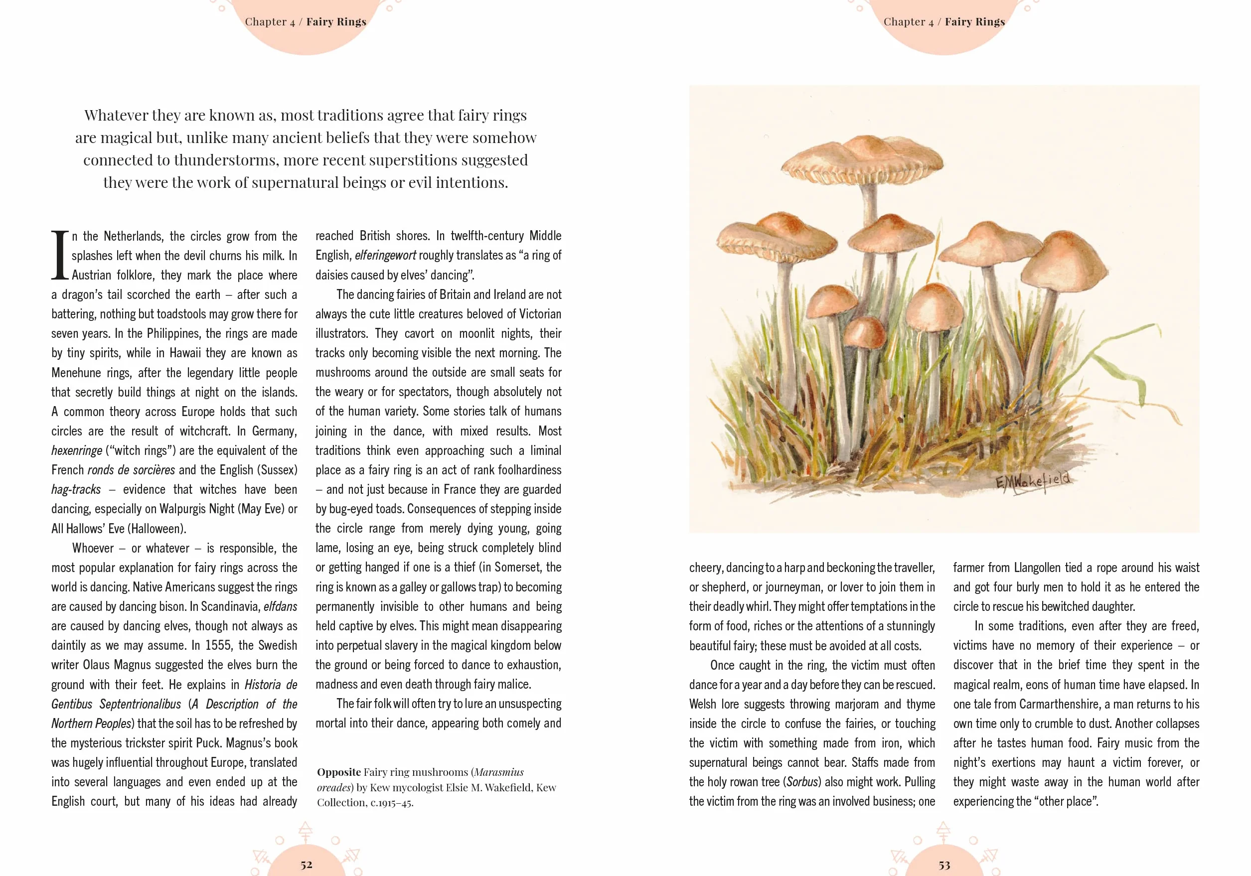 The Magic of Mushrooms: Fungi in Folklore, Superstition and Traditional Medicine