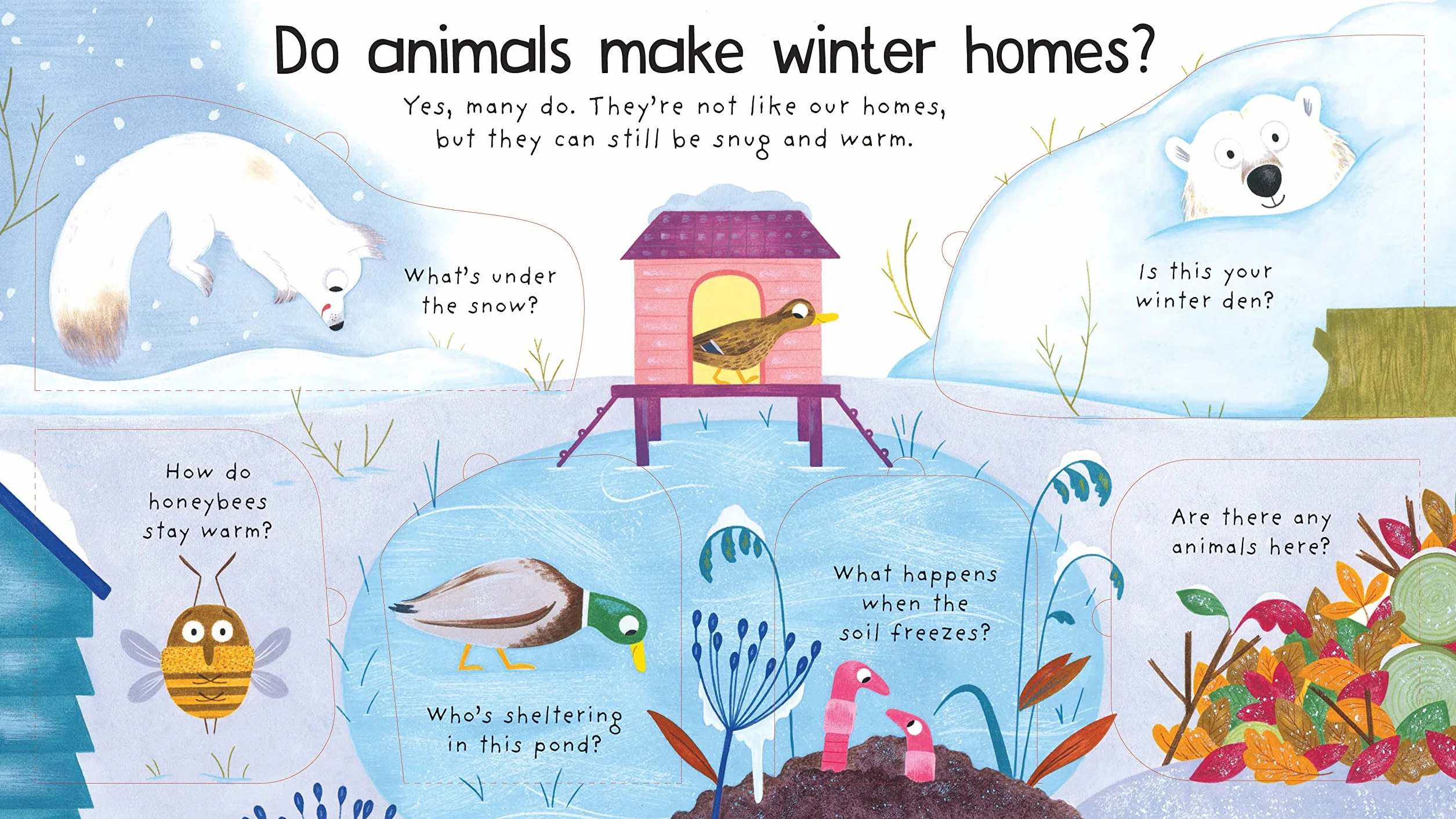 First Questions and Answers: Where Do Animals Go in Winter? (First Questions & Answers): Lift-the flap