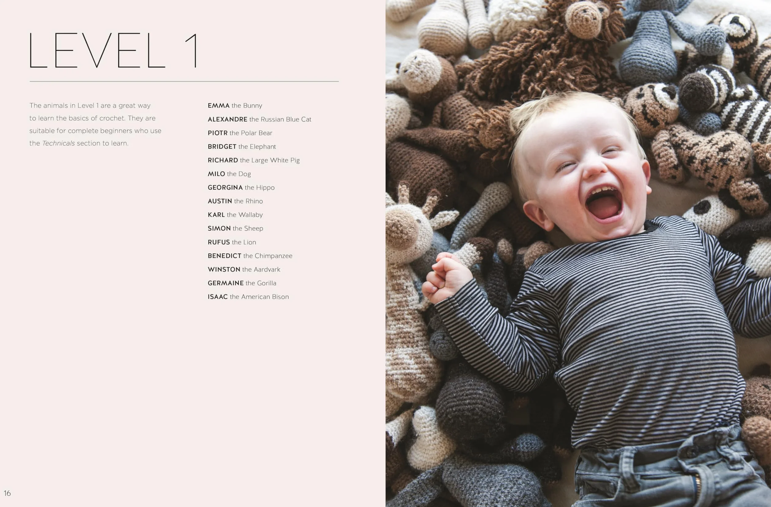 Edward's Menagerie New Edition: Over 50 Easy-To-Make Soft Toy Animal Crochet Patterns