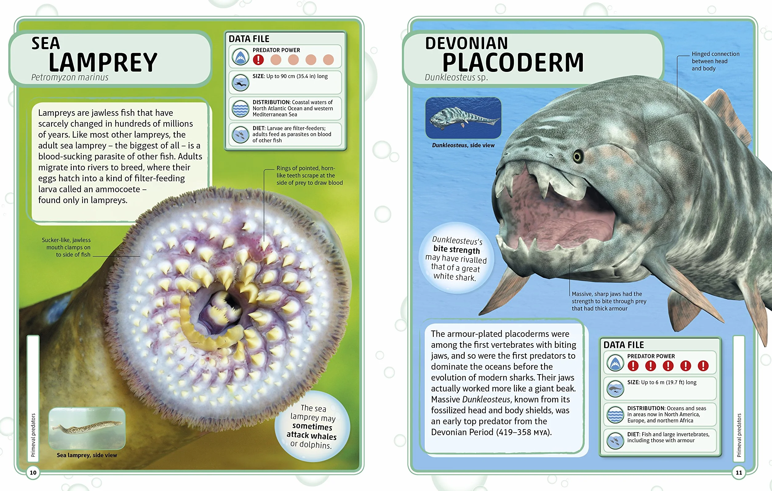 Sharks and Other Deadly Ocean Creatures: Visual Encyclopedia