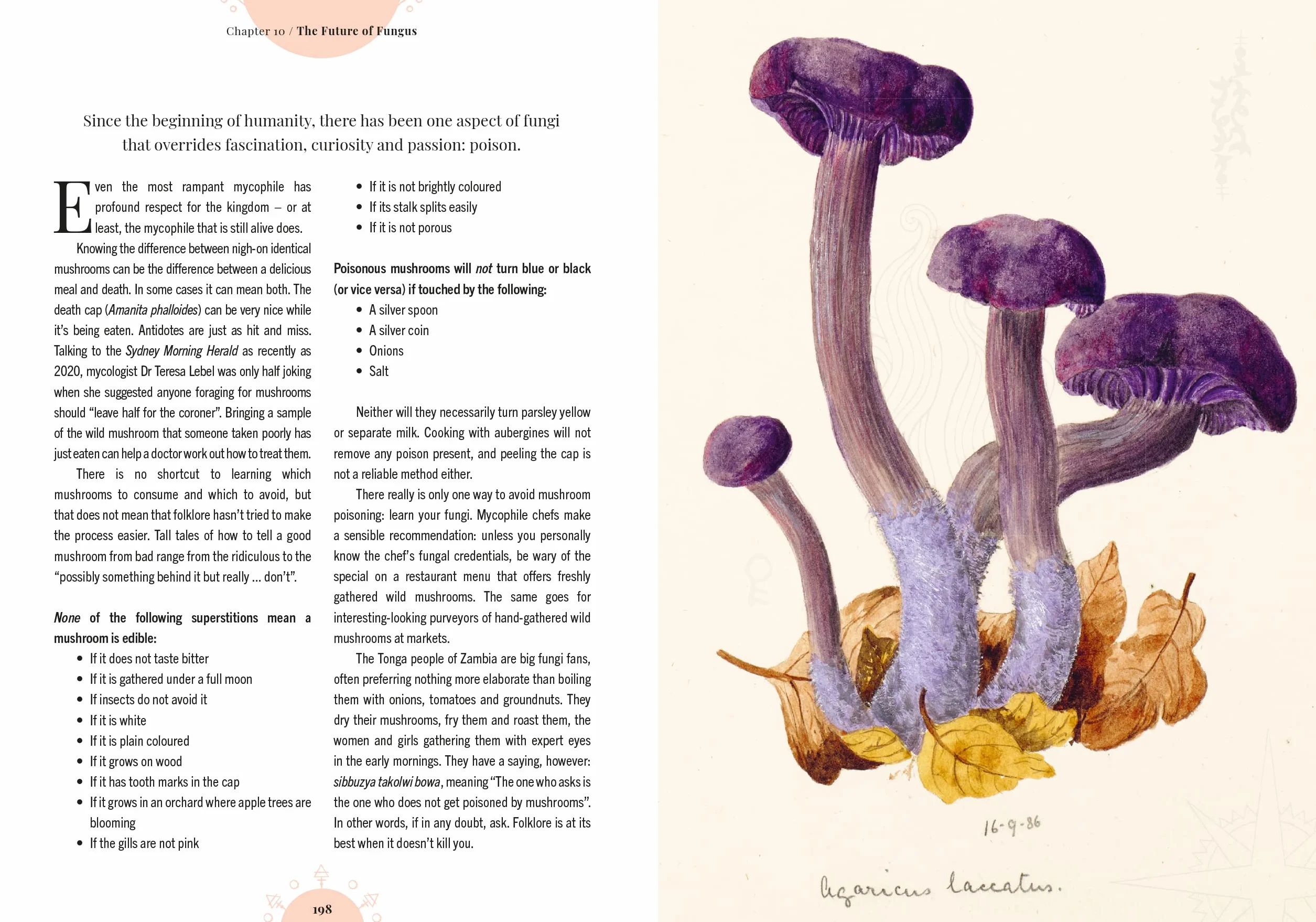 The Magic of Mushrooms: Fungi in Folklore, Superstition and Traditional Medicine