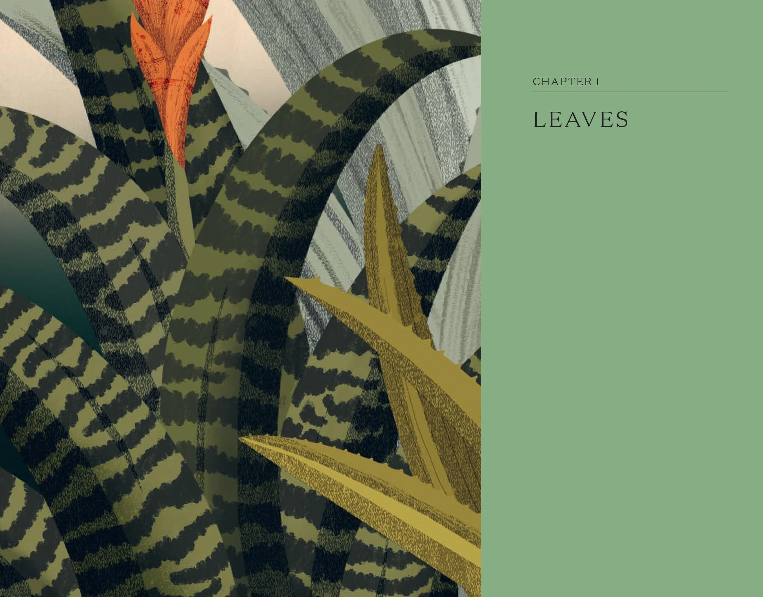 The Hidden Histories of Houseplants: Fascinating Stories of Our Most-Loved Houseplants