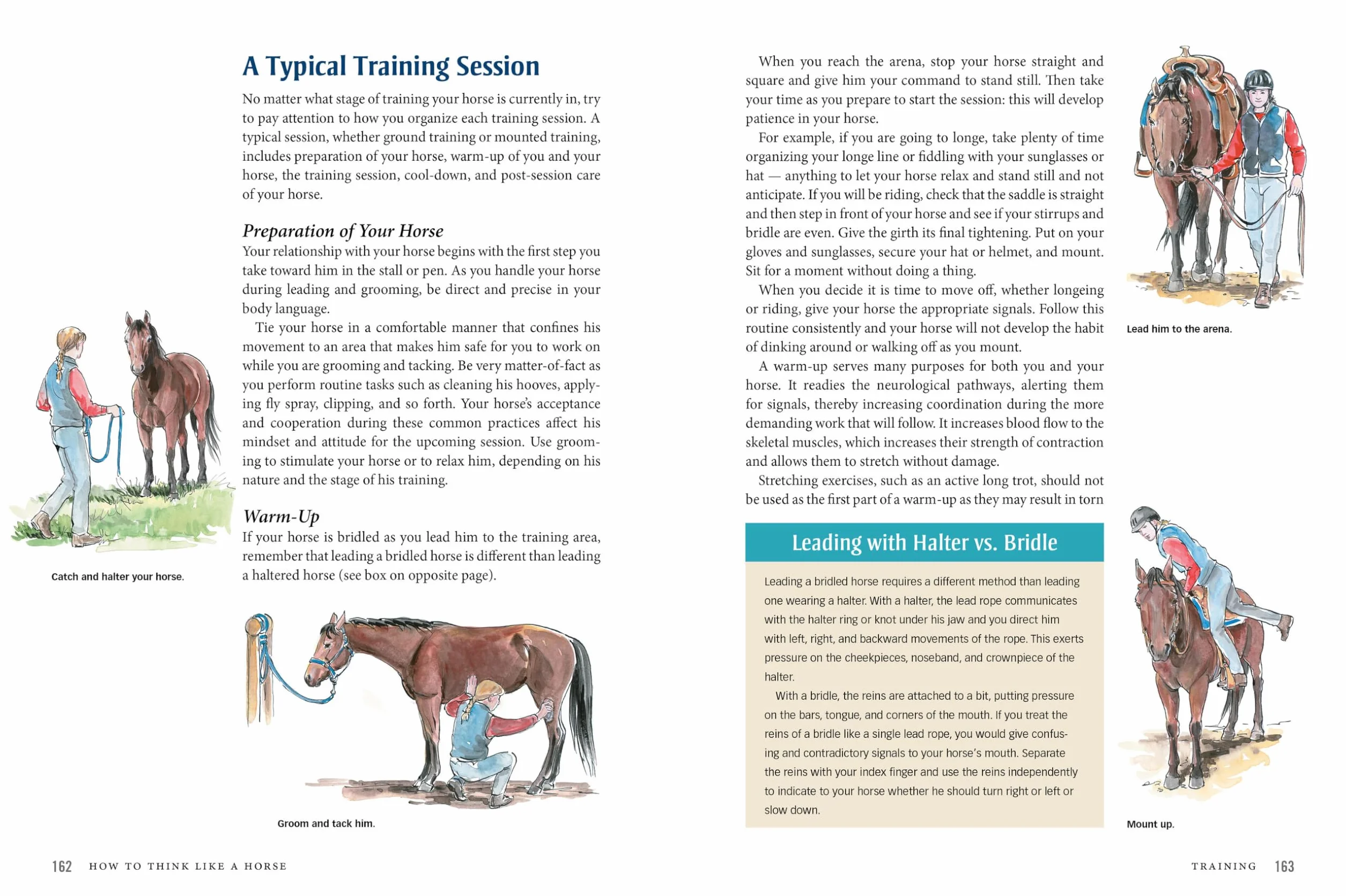 How to Think Like a Horse: The Essential Handbook for Understanding Why Horses Do What They Do