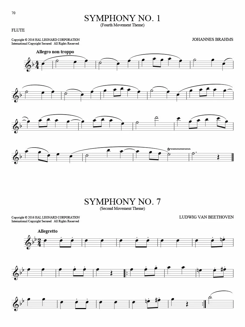 101 classical themes for flute flute traversiere