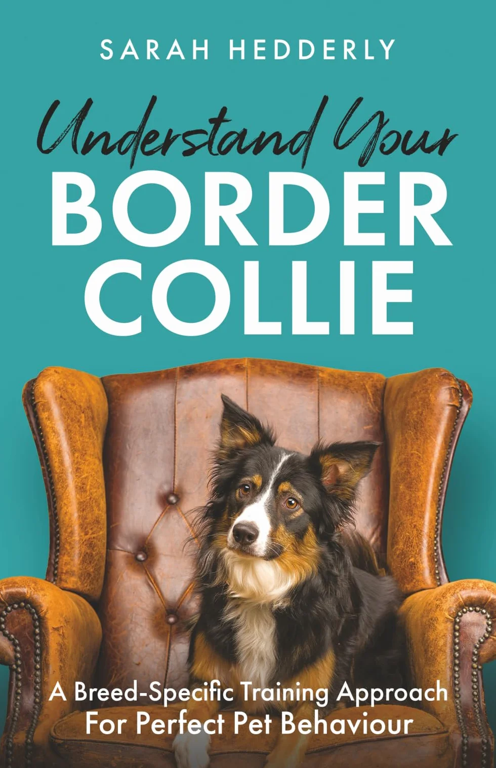Understand Your Border Collie: A Breed-Specific Training Approach for Perfect Pet Behaviour