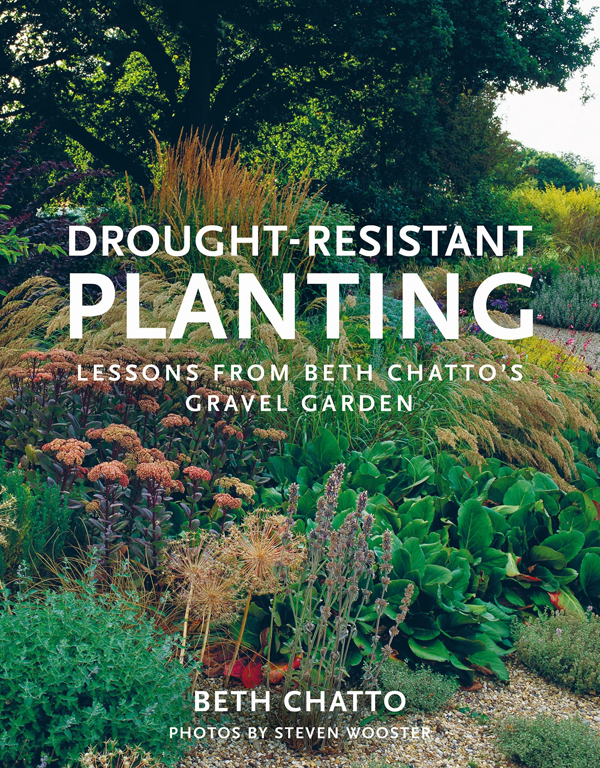 Drought-Resistant Planting /anglais: Lessons from Beth Chatto's Gravel Garden