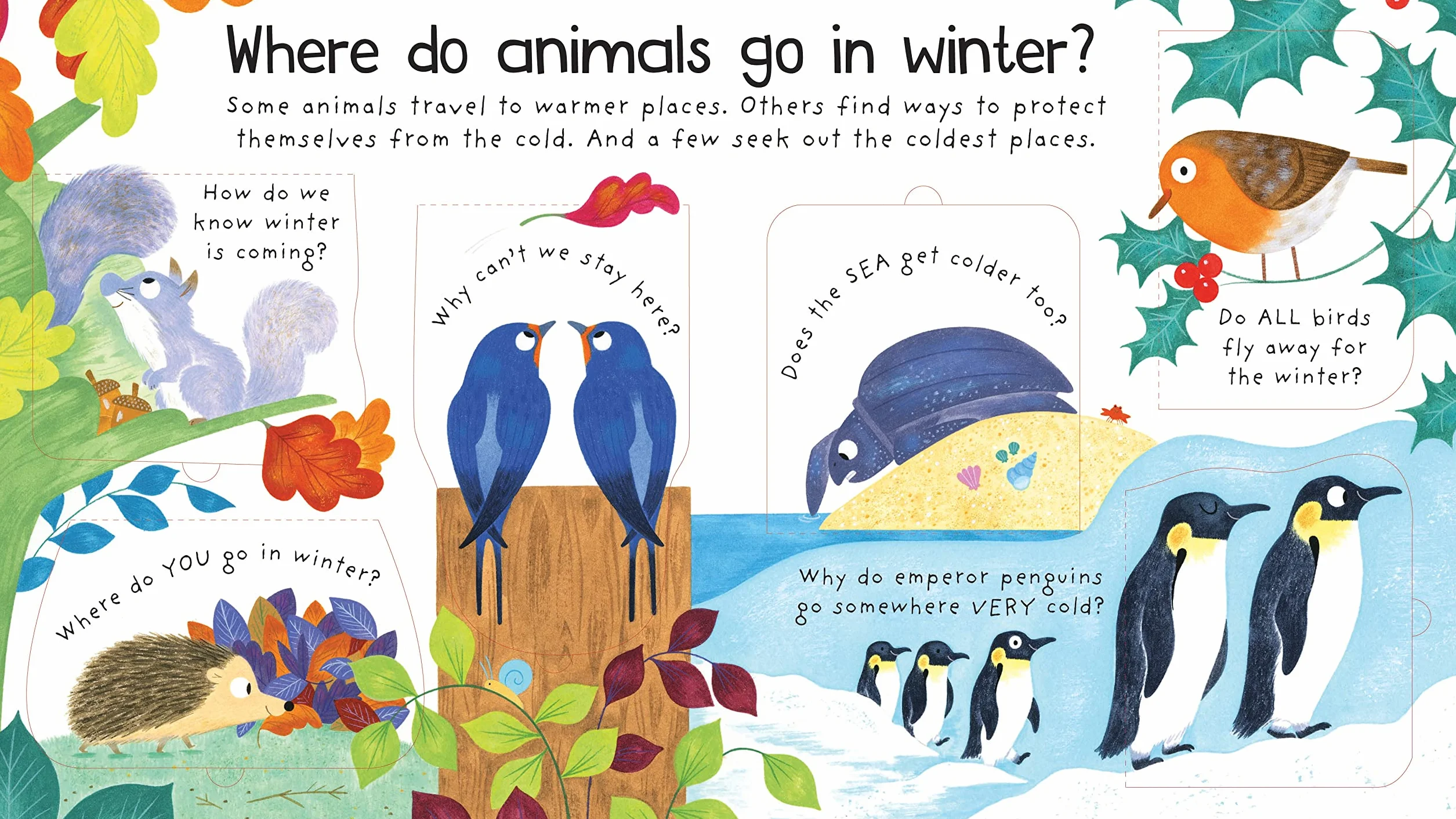 First Questions and Answers: Where Do Animals Go in Winter? (First Questions & Answers): Lift-the flap