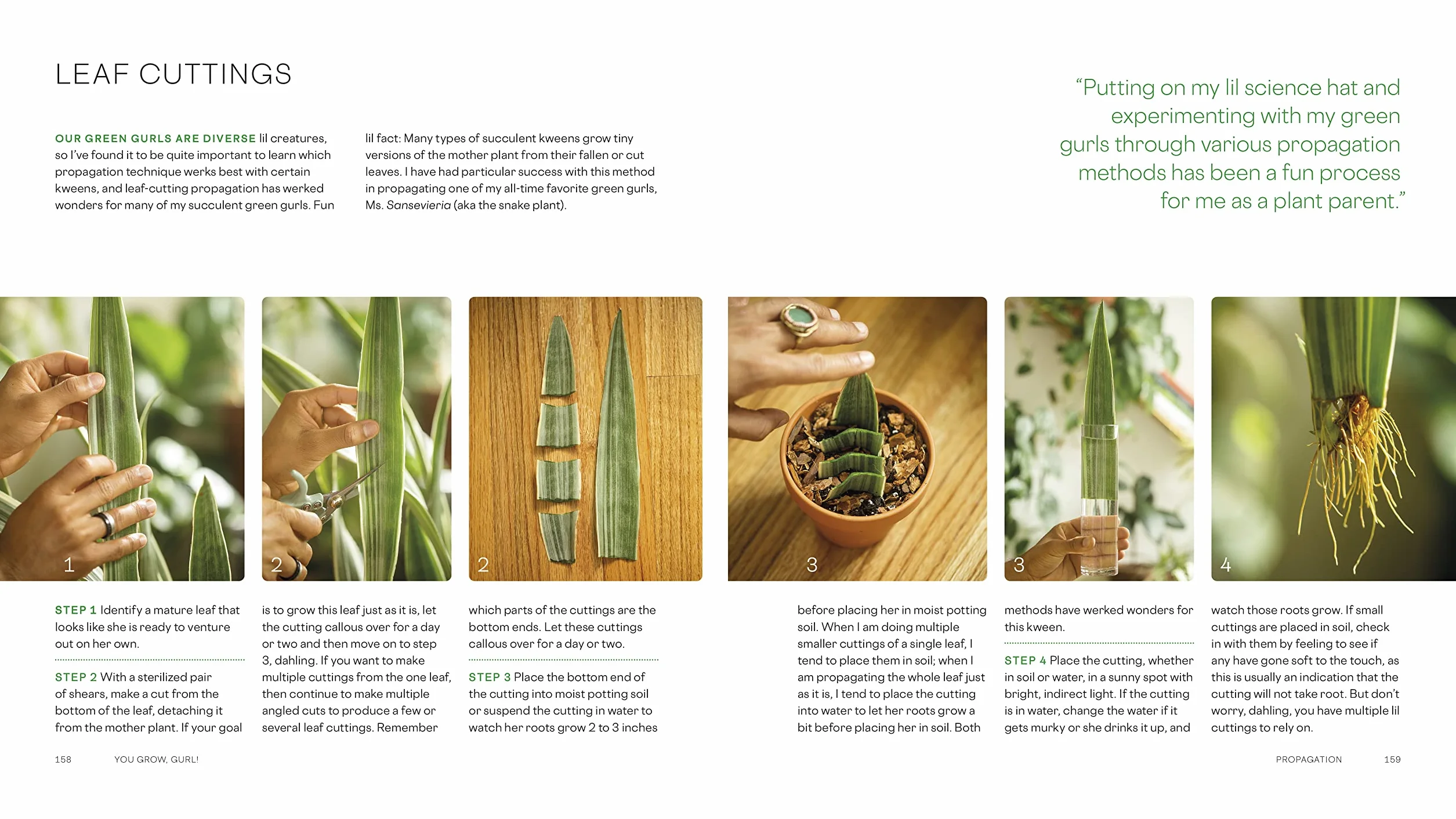 You Grow, Gurl!: Plant Kween's Lush Guide to Growing Your Garden