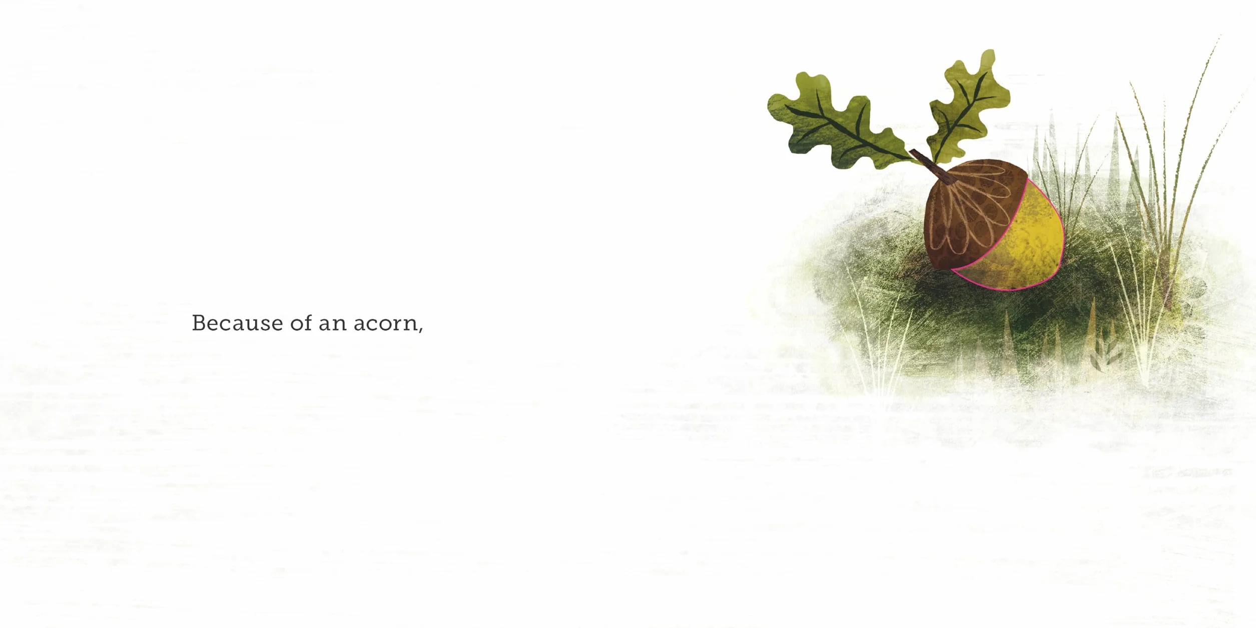 Because of an Acorn: (Nature Autumn Books for Children, Picture Books about Acorn Trees)