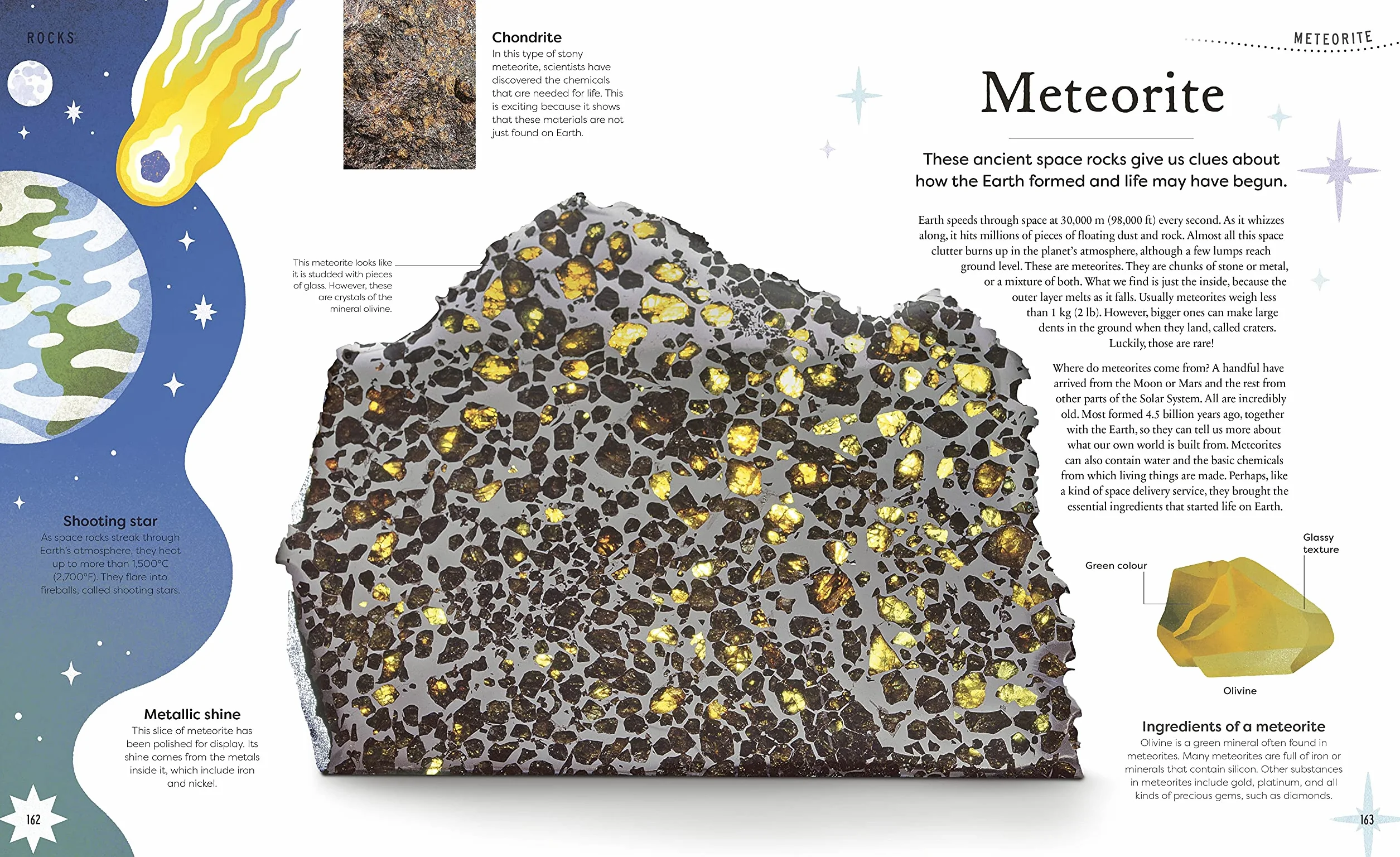 Nature's Treasures: Tales Of More Than 100 Extraordinary Objects From Nature (DK Treasures)