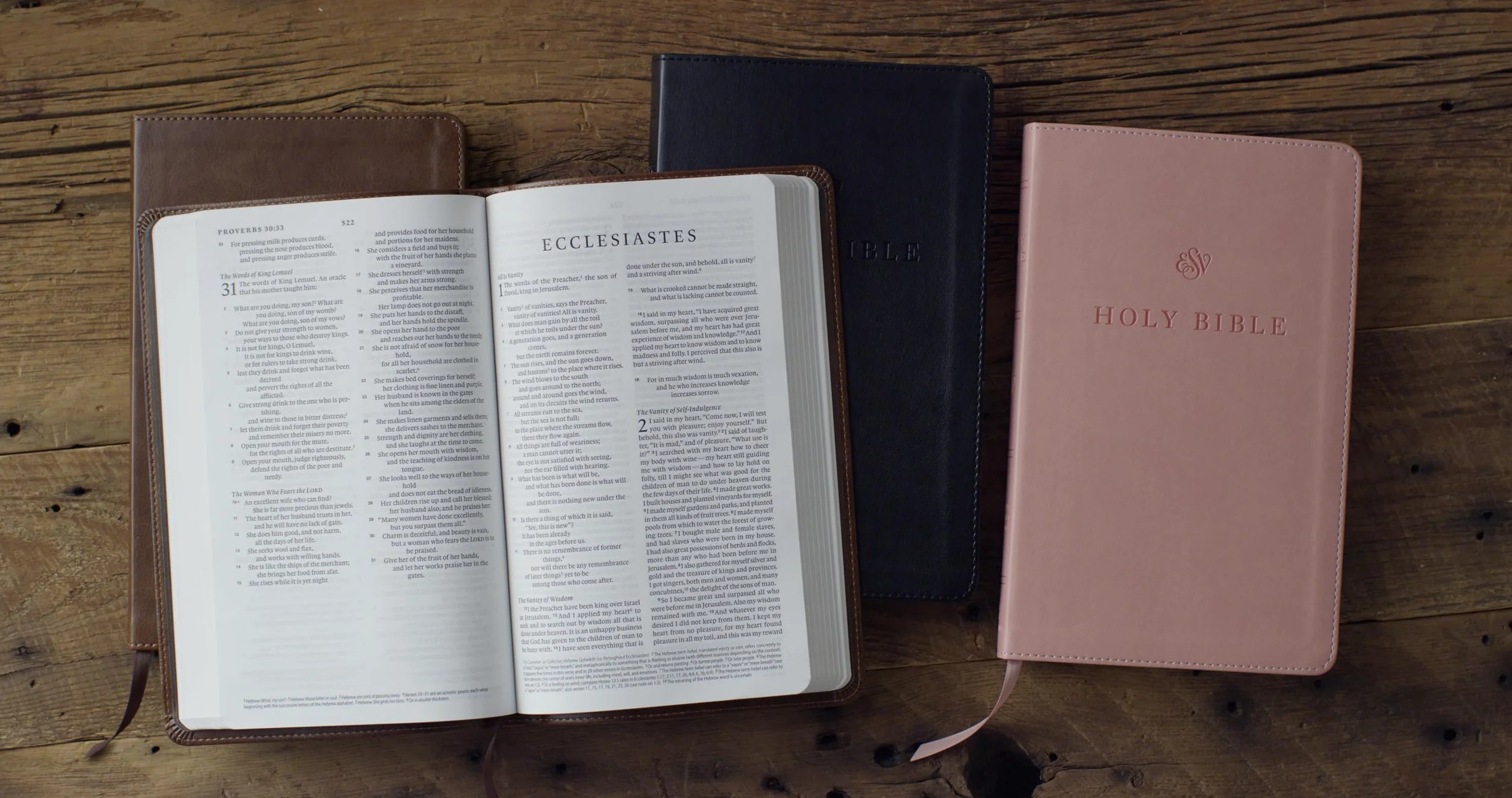 ESV Premium Church Bible (Trutone, Brown)