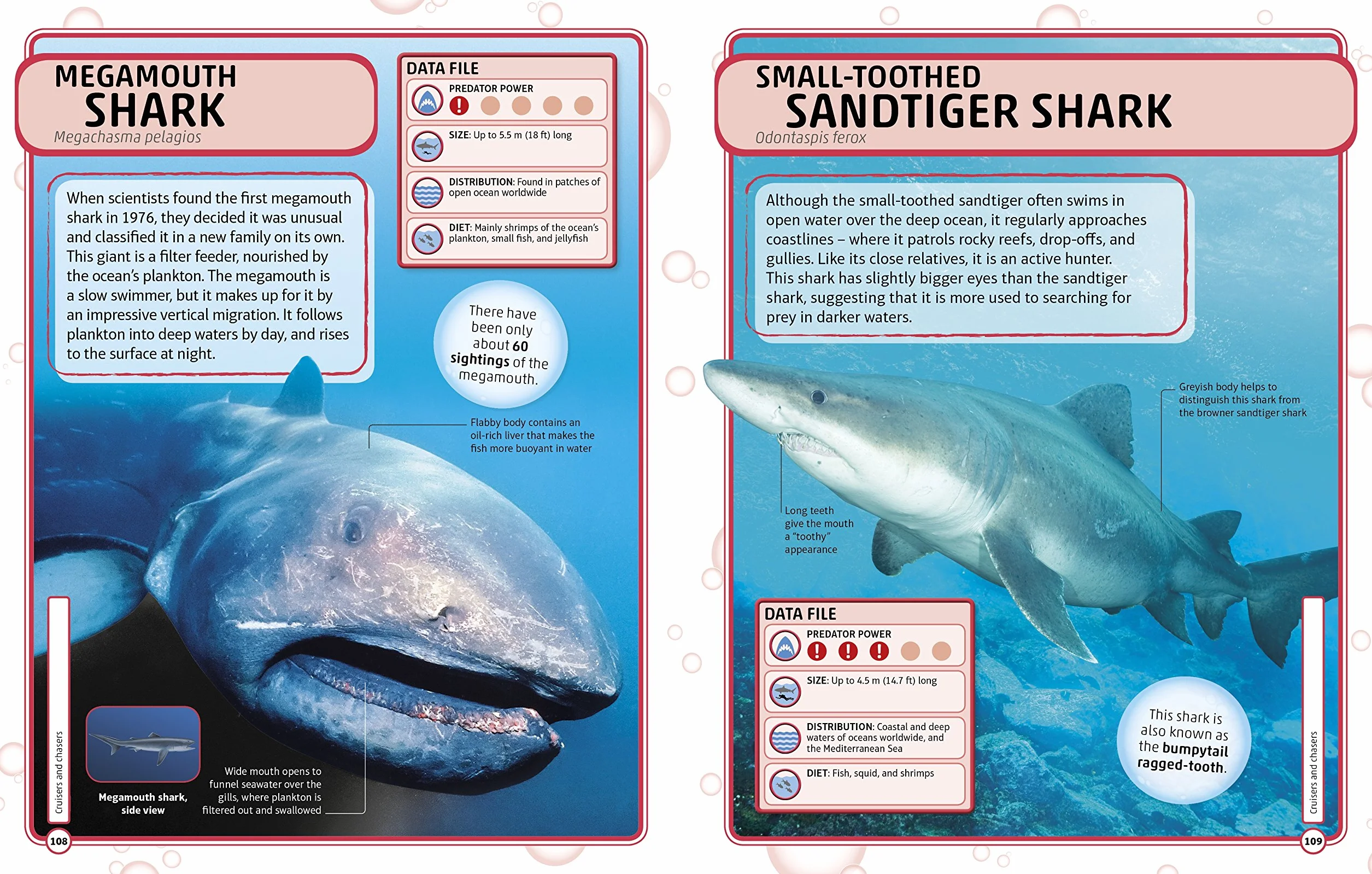 Sharks and Other Deadly Ocean Creatures: Visual Encyclopedia