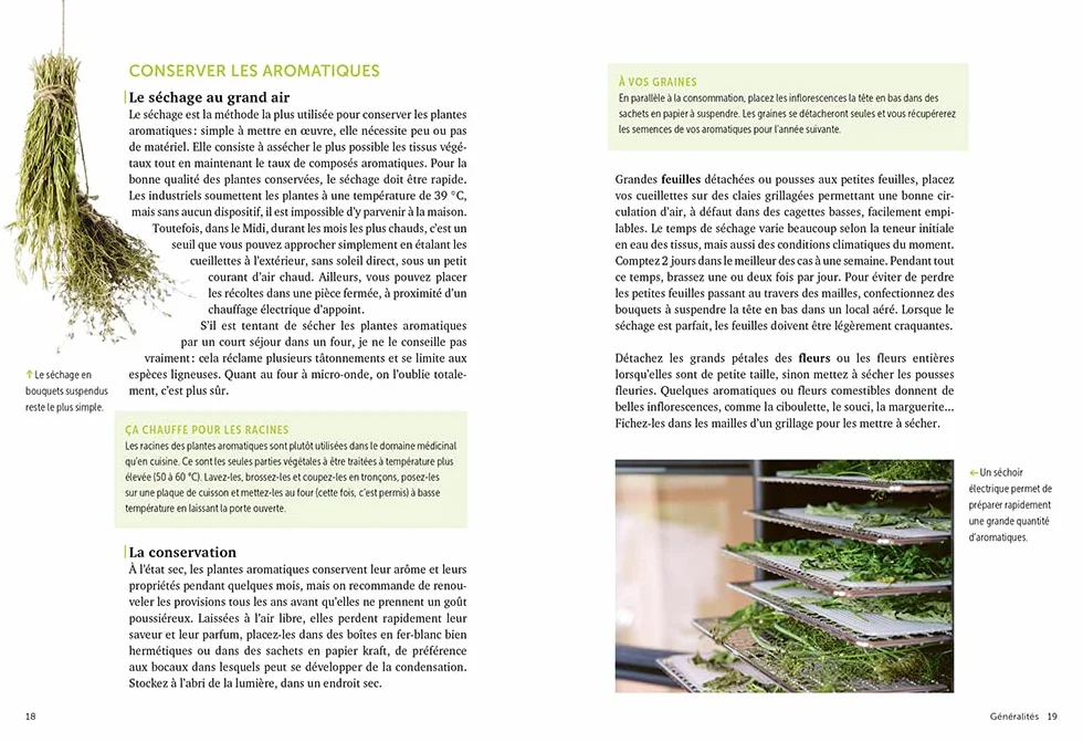 Plantes aromatiques - Comment les cultiver et les entretenir facilement