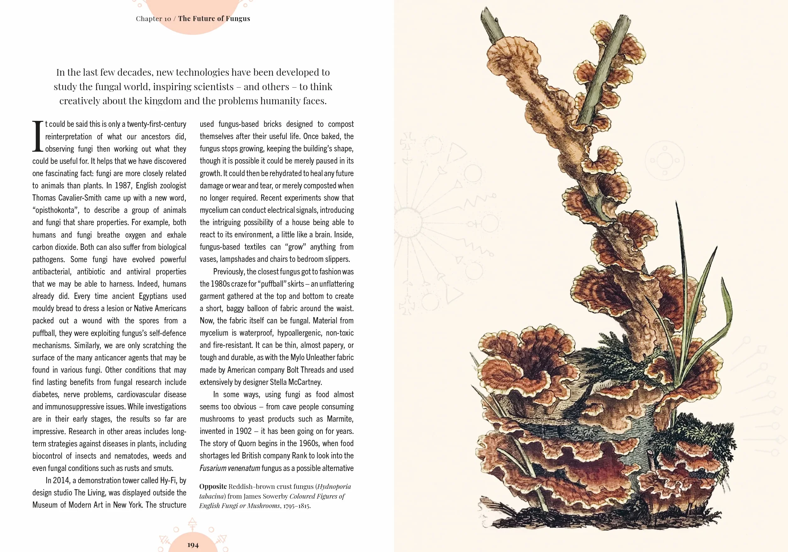 The Magic of Mushrooms: Fungi in Folklore, Superstition and Traditional Medicine