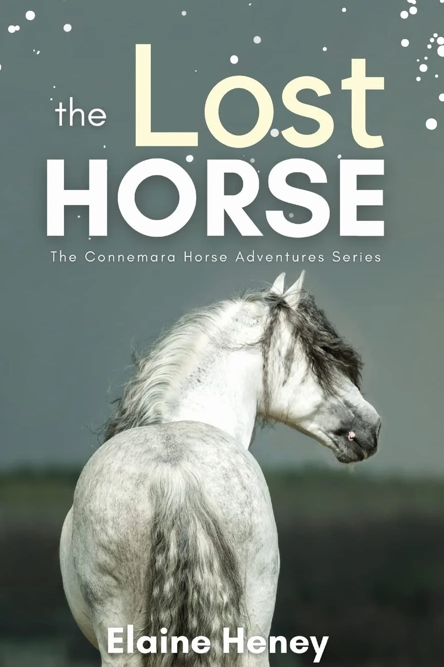 The Lost Horse - Book 6 in the Connemara Horse Adventure Series for Kids | The Perfect Gift for Children age 8-12