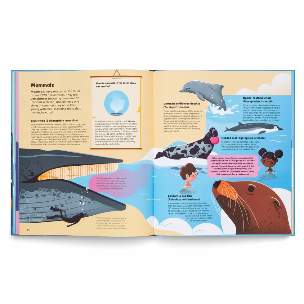 Explore the Ocean: Adventures Under the Sea with Emma and Louis