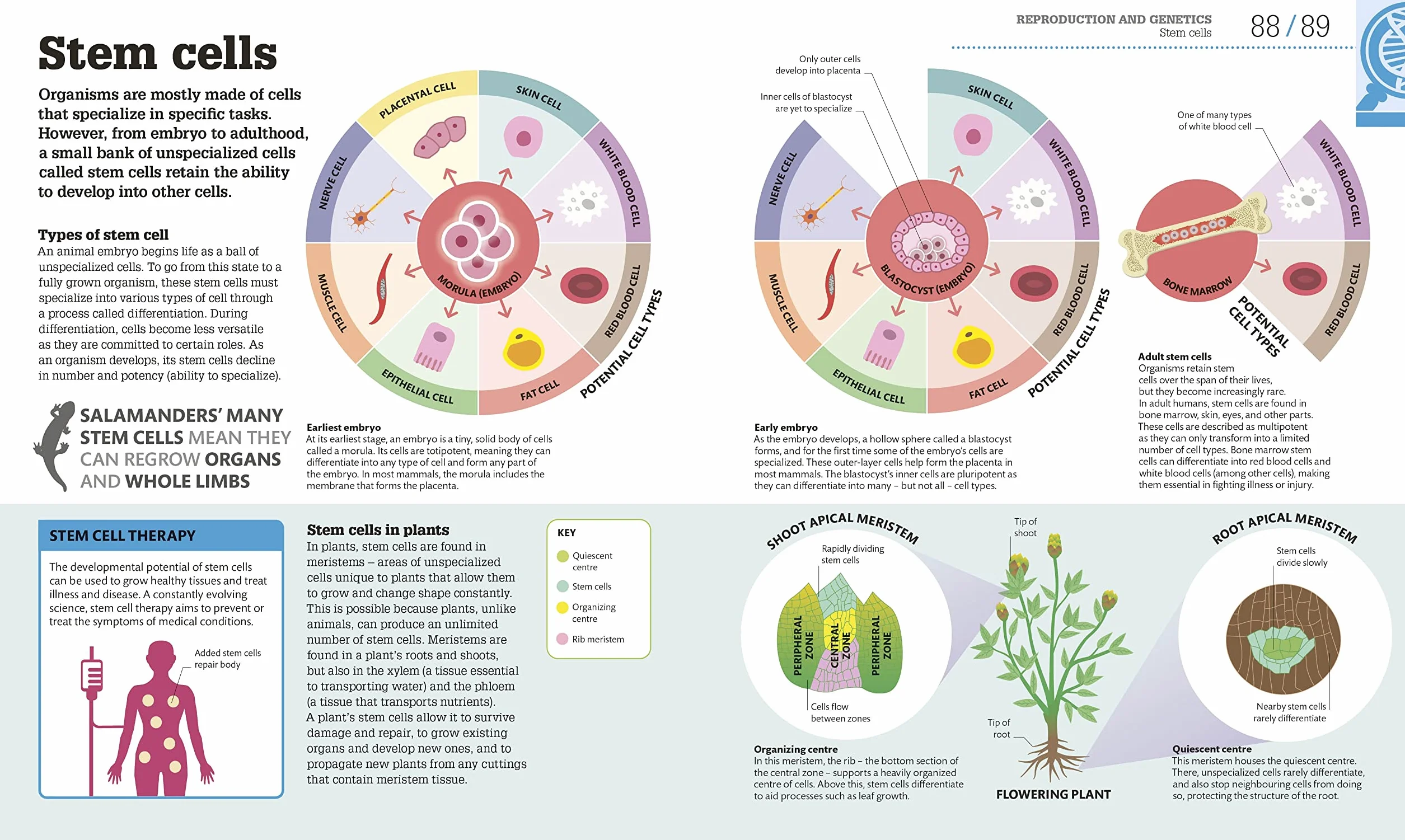 How Biology Works: The Facts Visually Explained