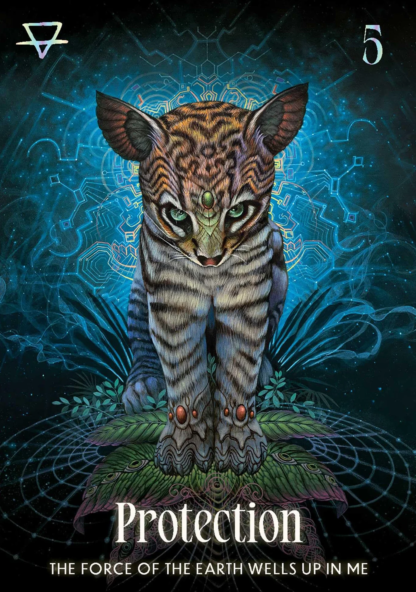 Shamanic Oracle: Connect to the medicine of the earth