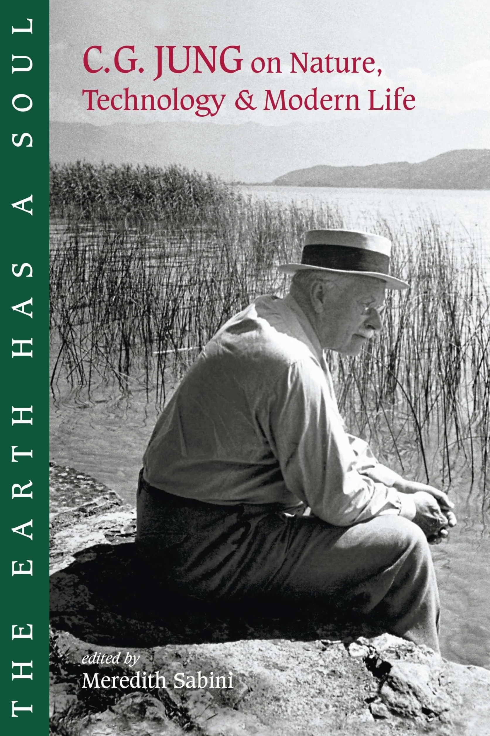 The Earth Has a Soul: C.G. Jung on Nature, Technology and Modern Life