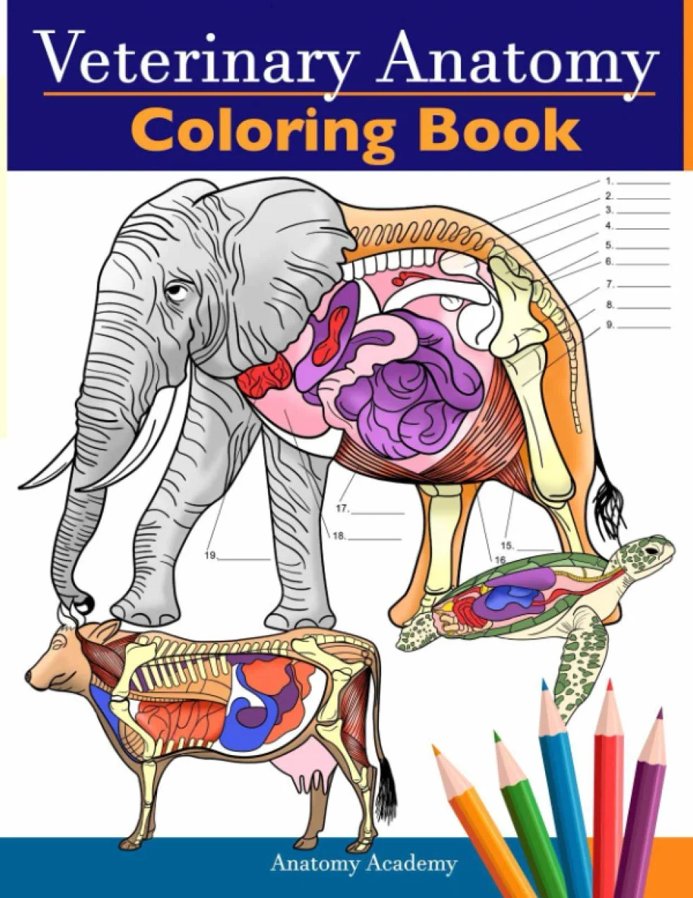 Veterinary Anatomy Coloring Book: Animals Physiology Self-Quiz Color Workbook for Studying and Relaxation | Perfect gift For Vet Students and even Adults