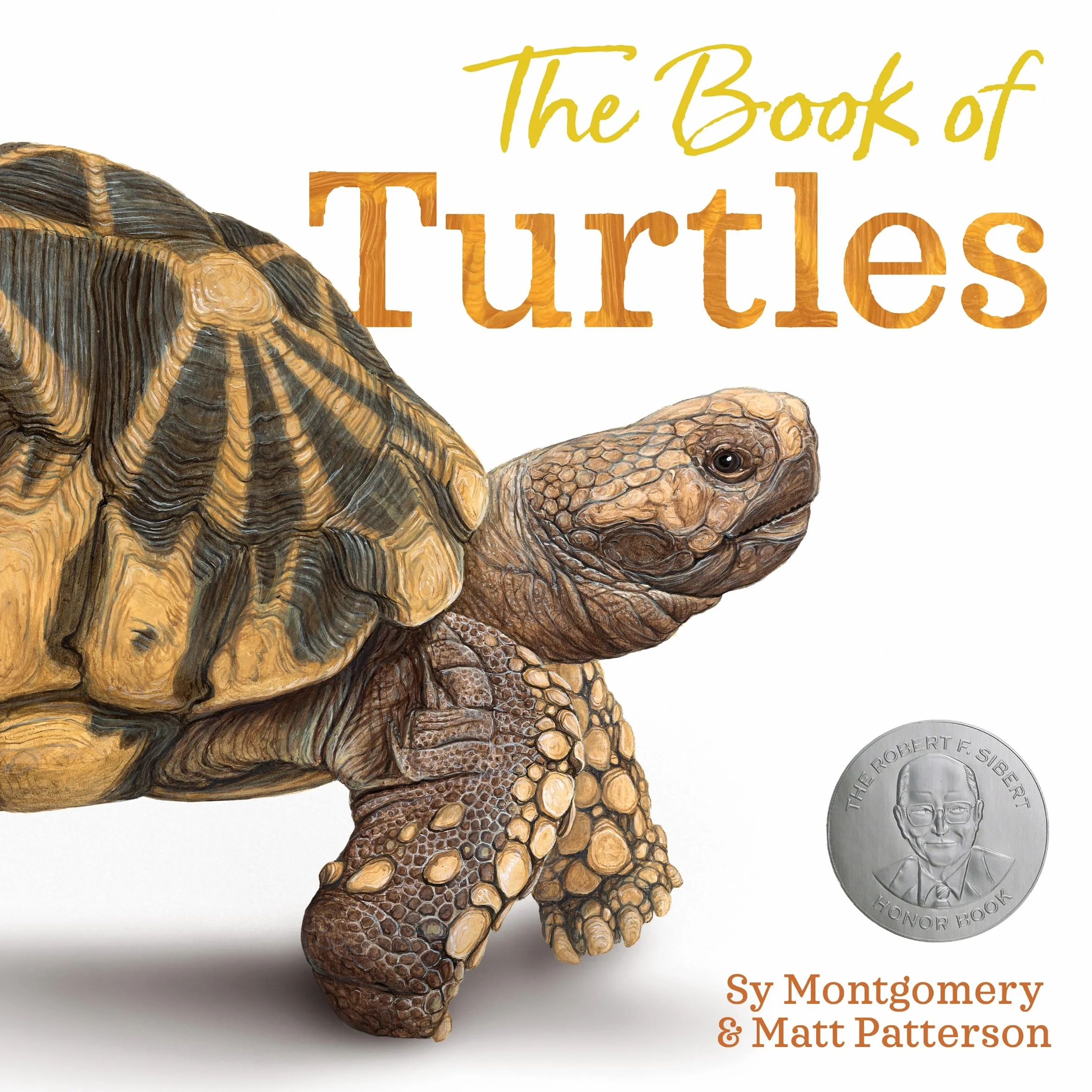 The Book of Turtles: 1