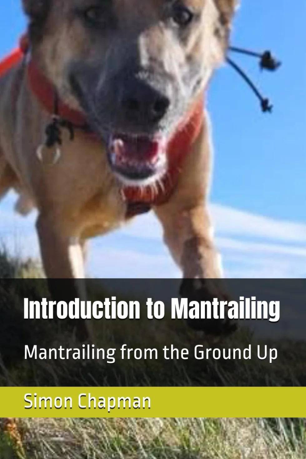Introduction to Mantrailing: Mantrailing from the Ground Up