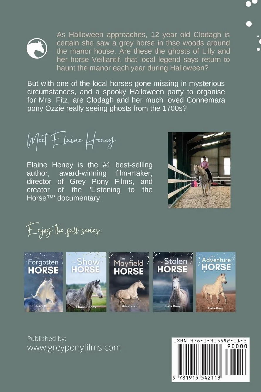 The Lost Horse - Book 6 in the Connemara Horse Adventure Series for Kids | The Perfect Gift for Children age 8-12