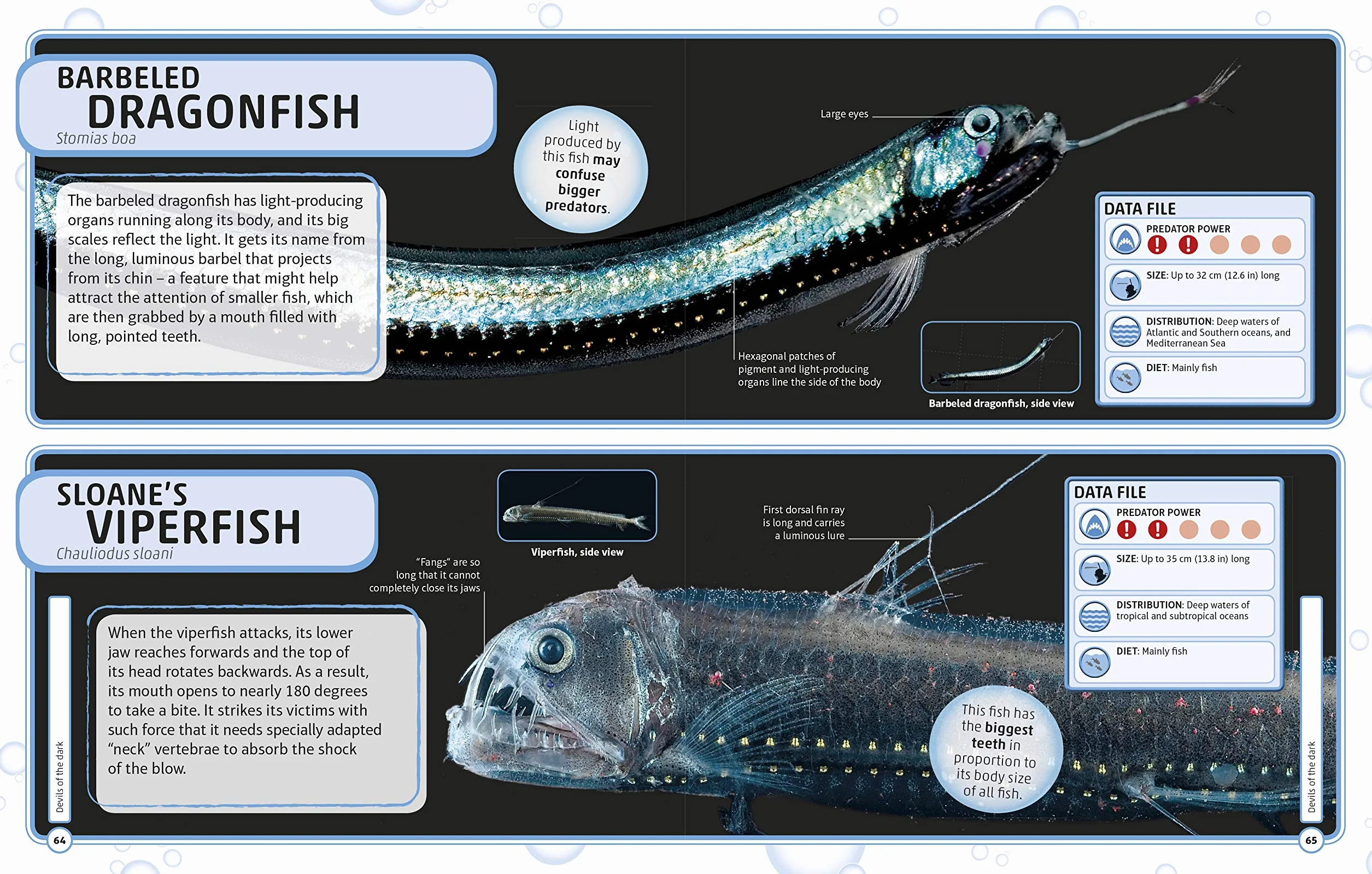Sharks and Other Deadly Ocean Creatures: Visual Encyclopedia