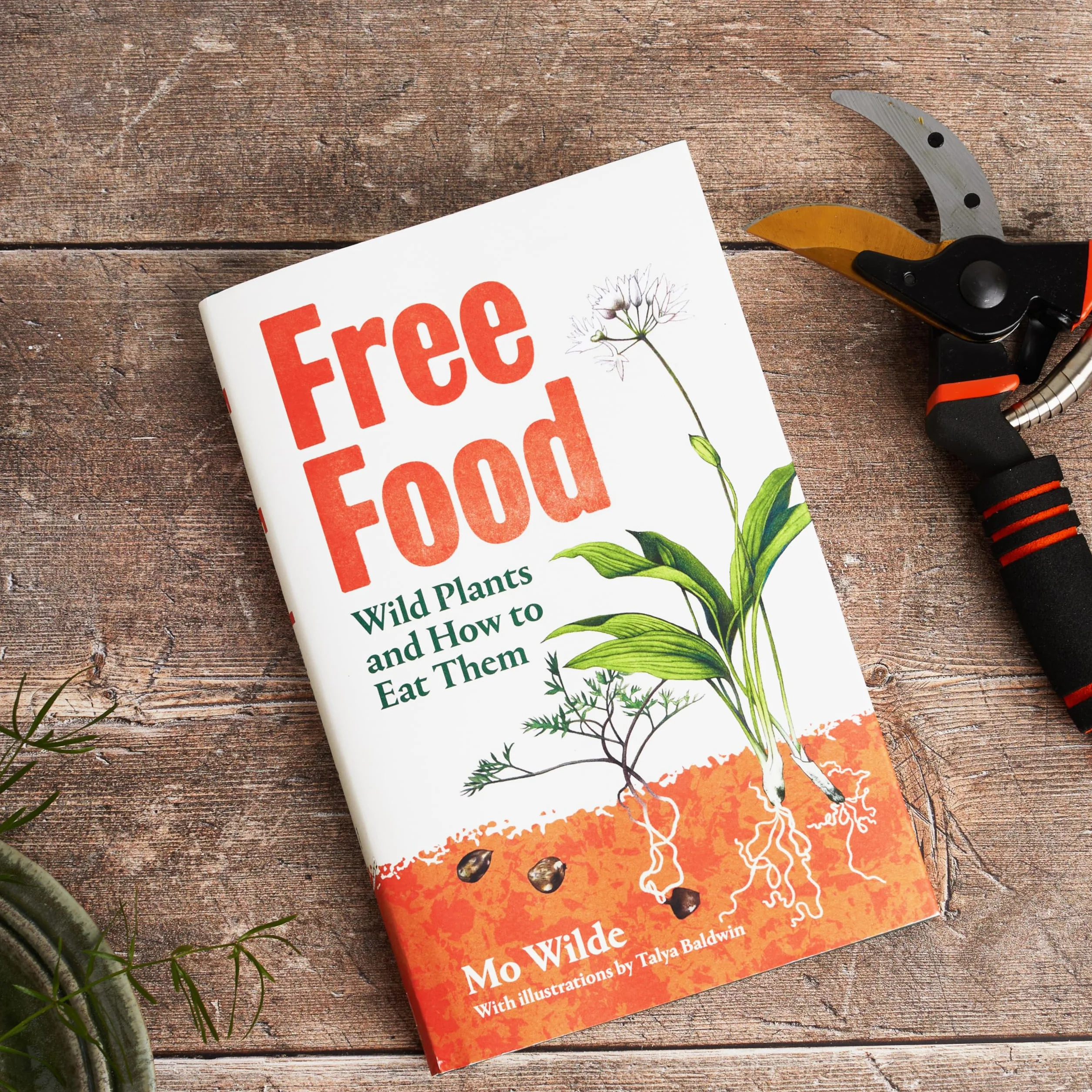 Free Food: Wild Plants and How to Eat Them