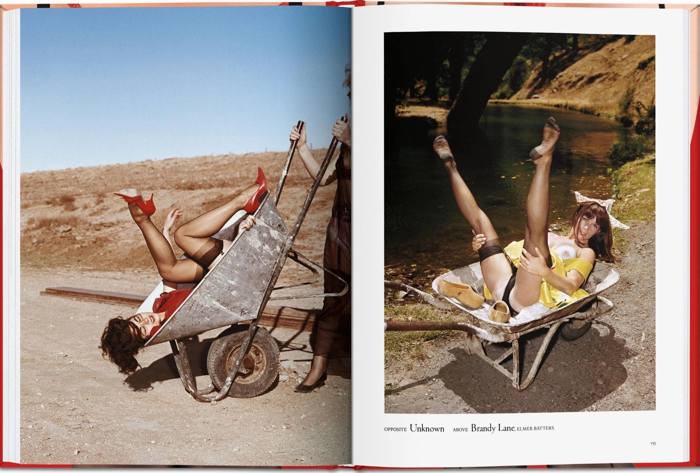 The Little Big Book of Legs: Great Gams in a Petite Package