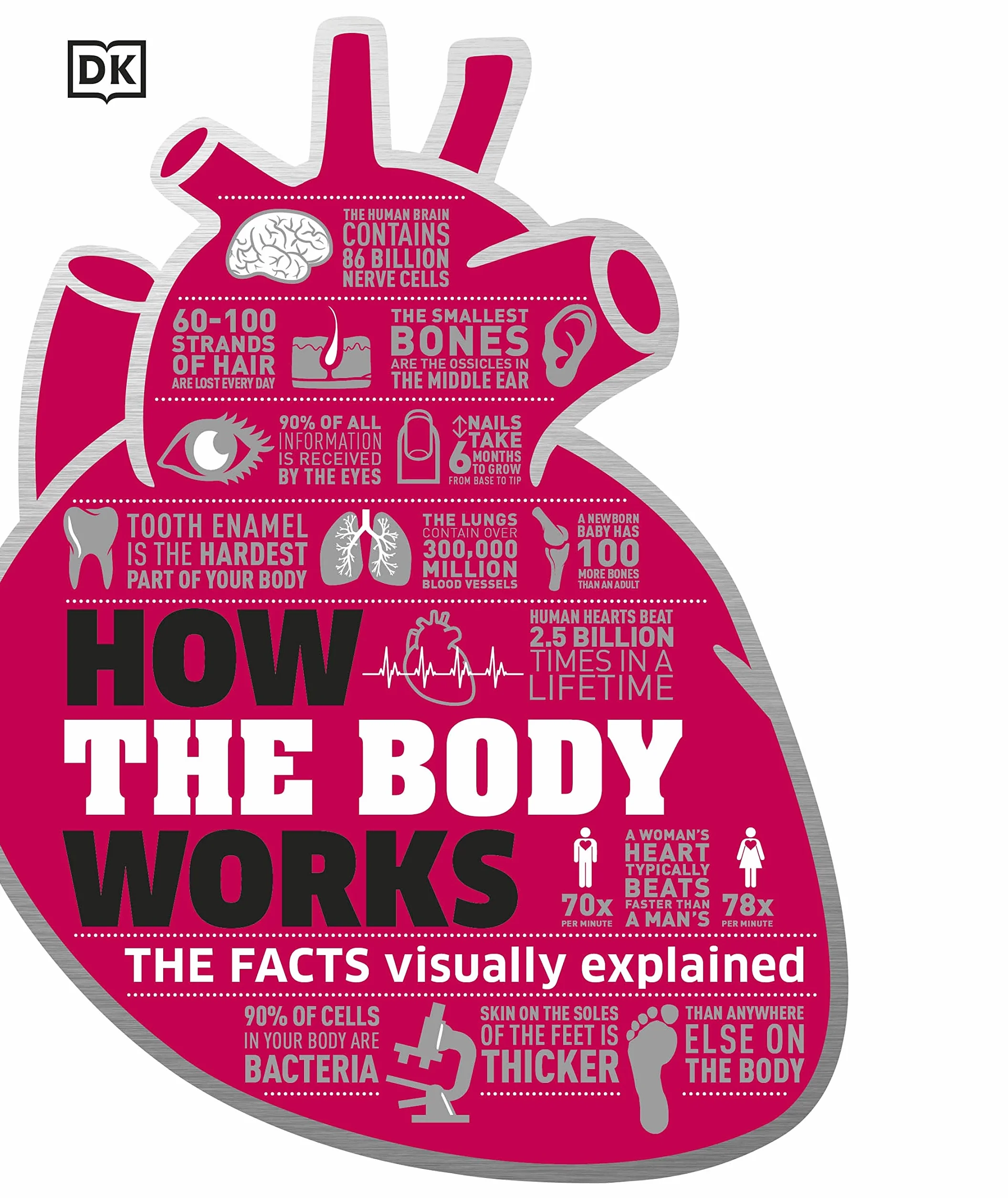 How the Body Works: The Facts Simply Explained