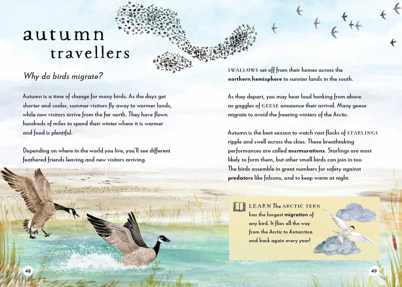 A Field Guide to Autumn: Play and Learn in Nature: 2