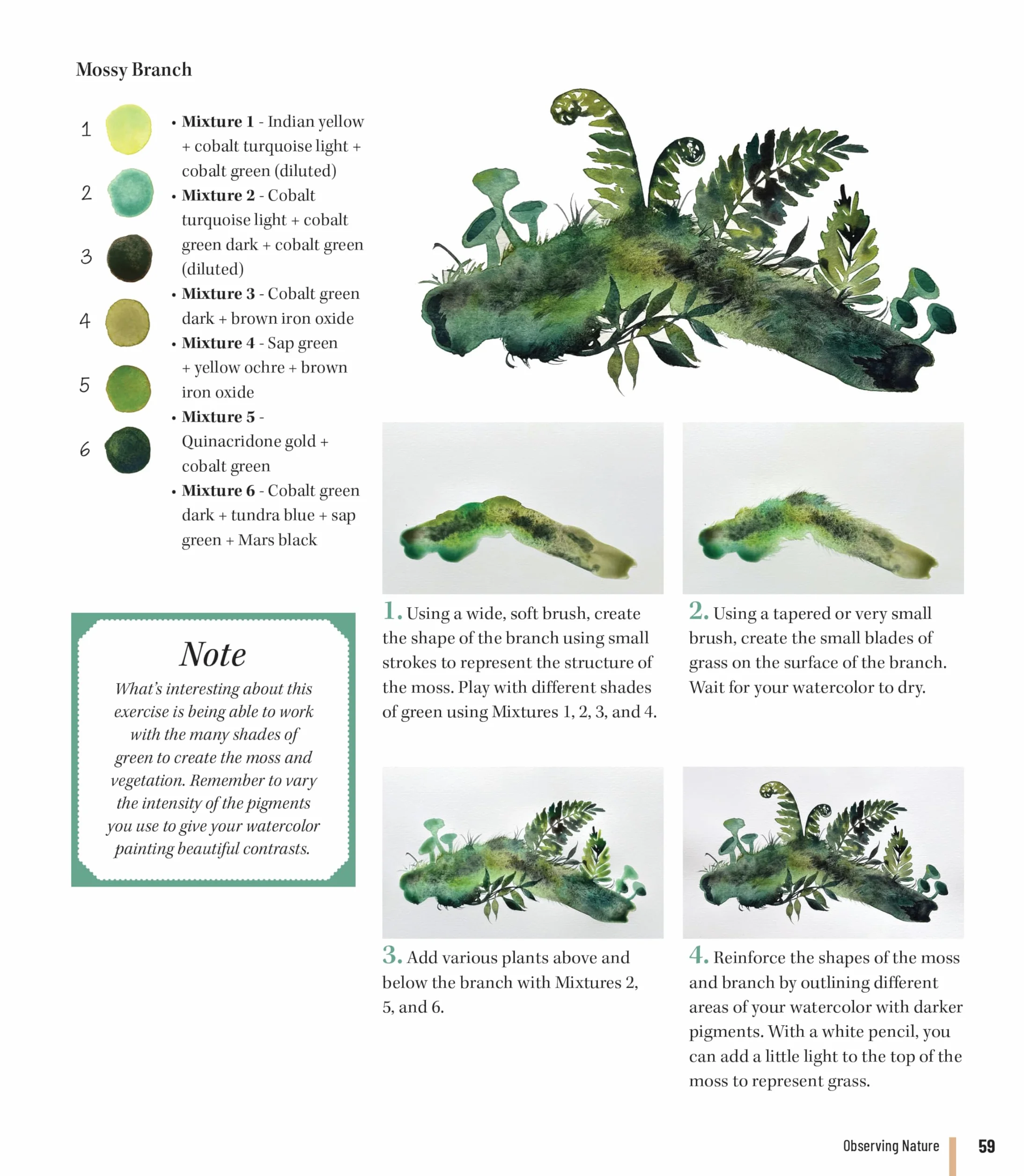 Painting the Secrets of the Forest with Watercolors