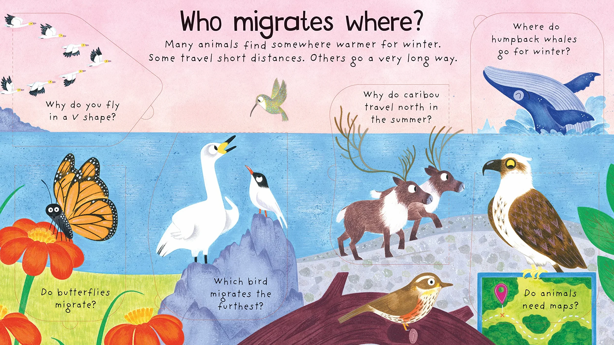 First Questions and Answers: Where Do Animals Go in Winter? (First Questions & Answers): Lift-the flap