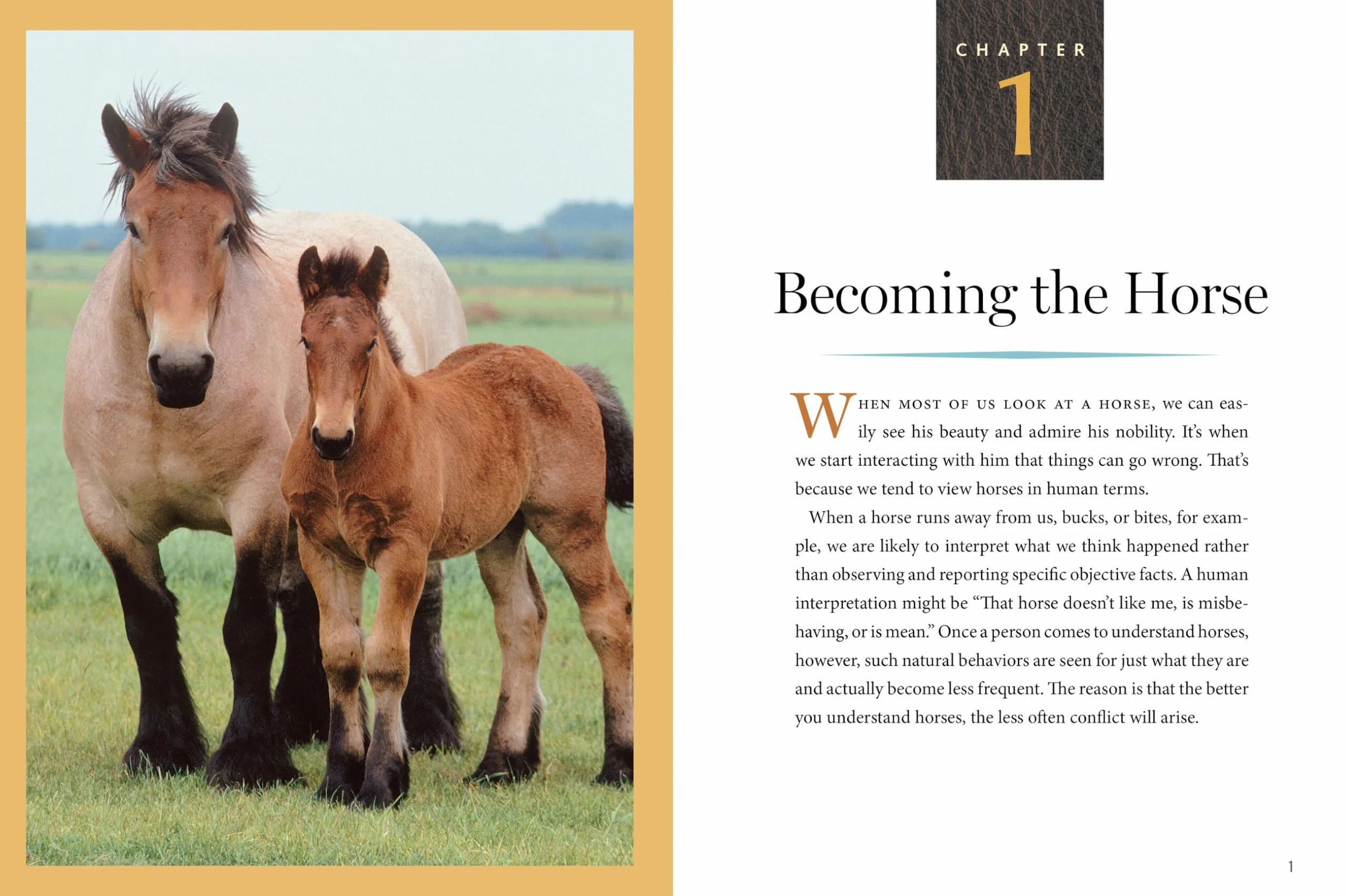 How to Think Like a Horse: The Essential Handbook for Understanding Why Horses Do What They Do
