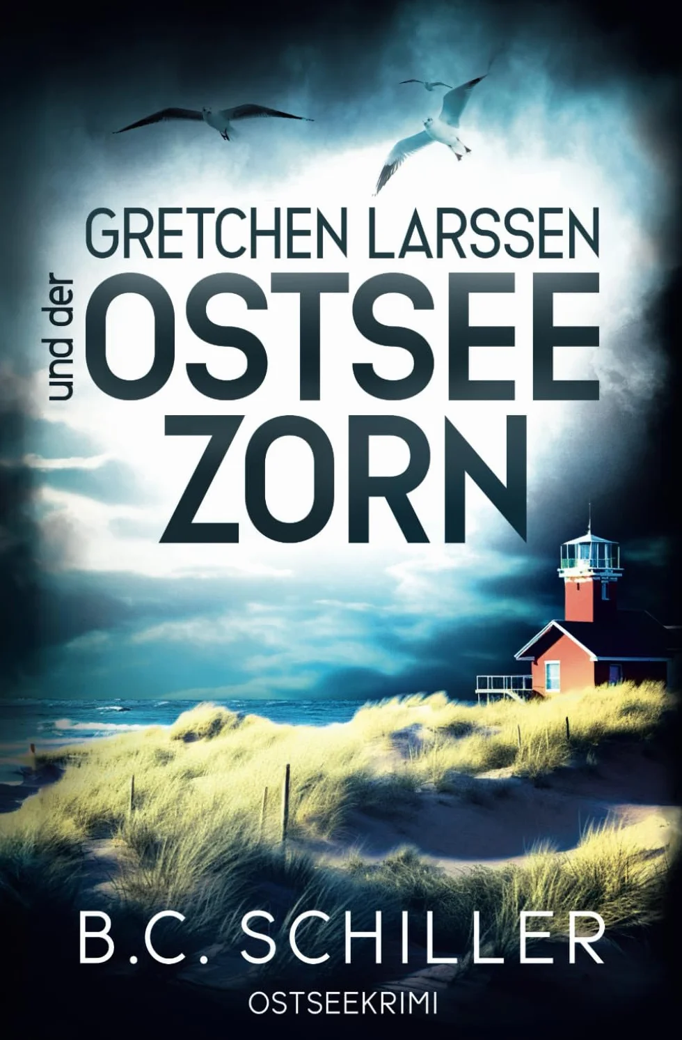 Gretchen Larssen und der Ostseezorn: Ostseekrimi