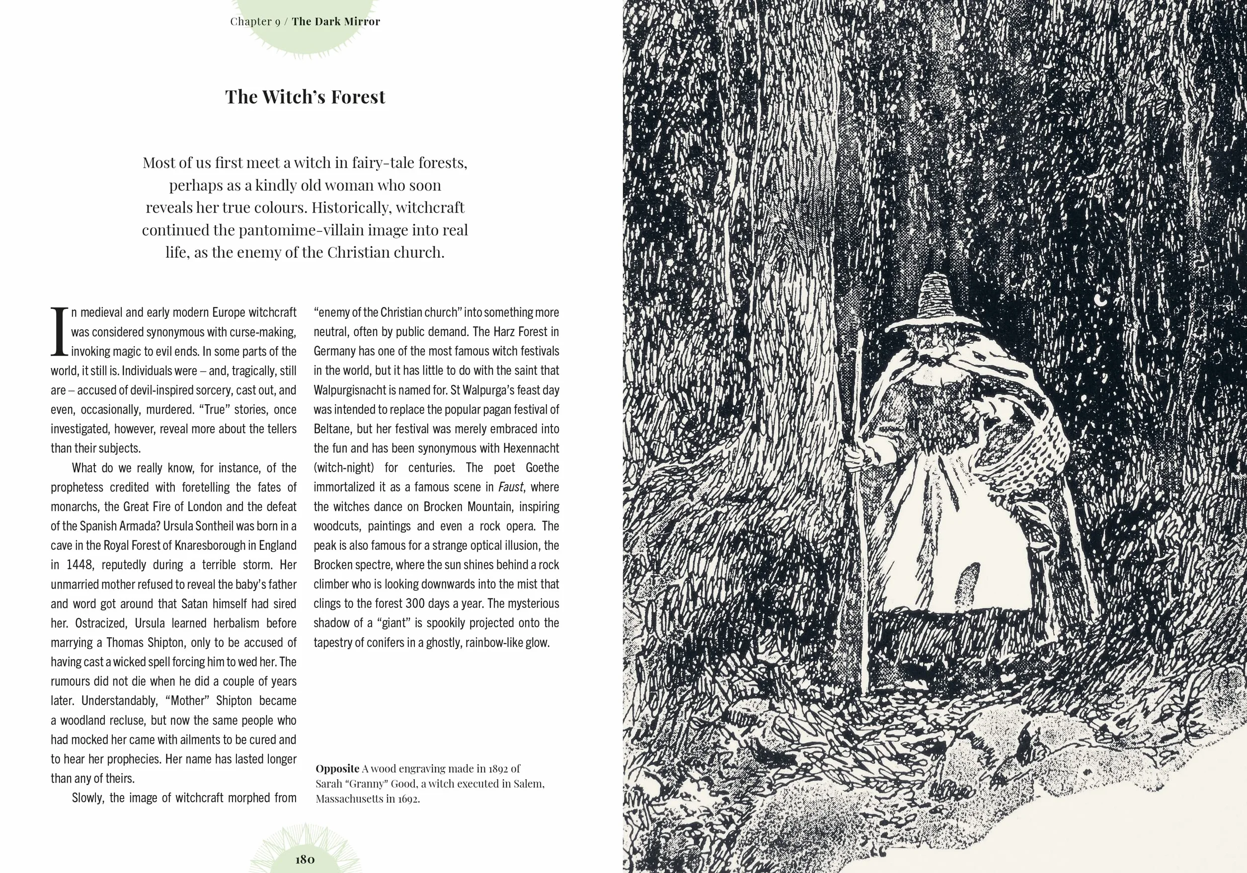 Witch's Forest: Trees in Magic, Folklore and Traditional Remedies