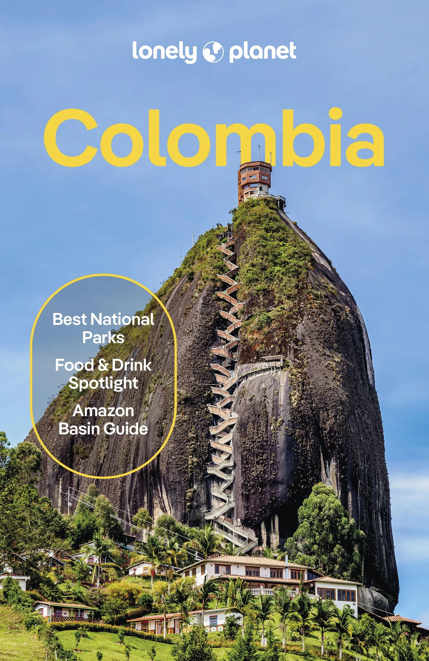 Colombia 11ed -anglais-: Plan the Trip of a Lifetime | Detailed Itineraries & Maps | Insider Tips | Covers Boyaca & Santander, Cali & Southwest Colombia and more