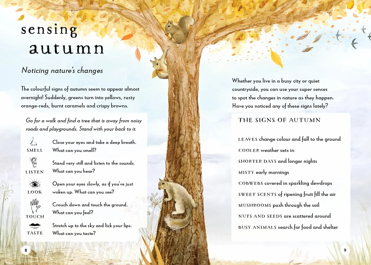 A Field Guide to Autumn: Play and Learn in Nature: 2